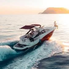 Level 2 — Decontamination & Seasonal Protection