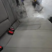 BACKSEATRS STEAMED.jpg