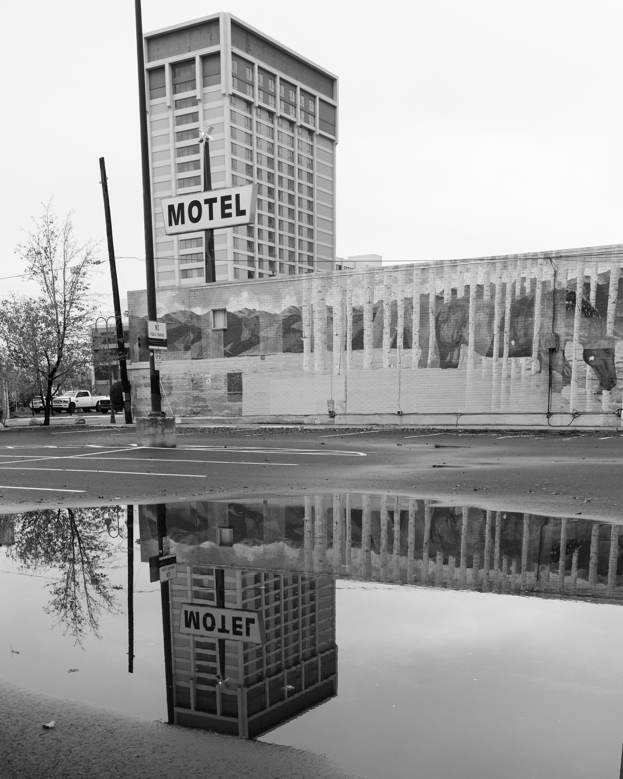 Squarespace Reno B&W 1.jpg