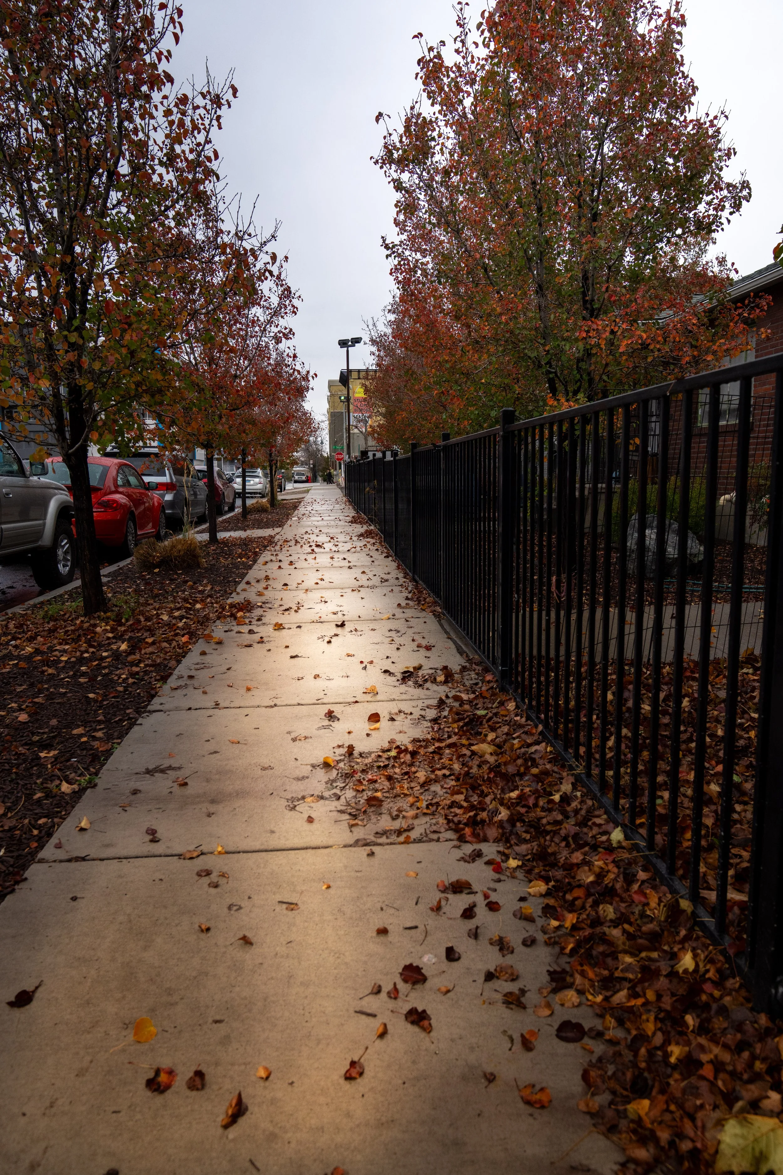 Squarespace Rainy day Downtown 9.jpg