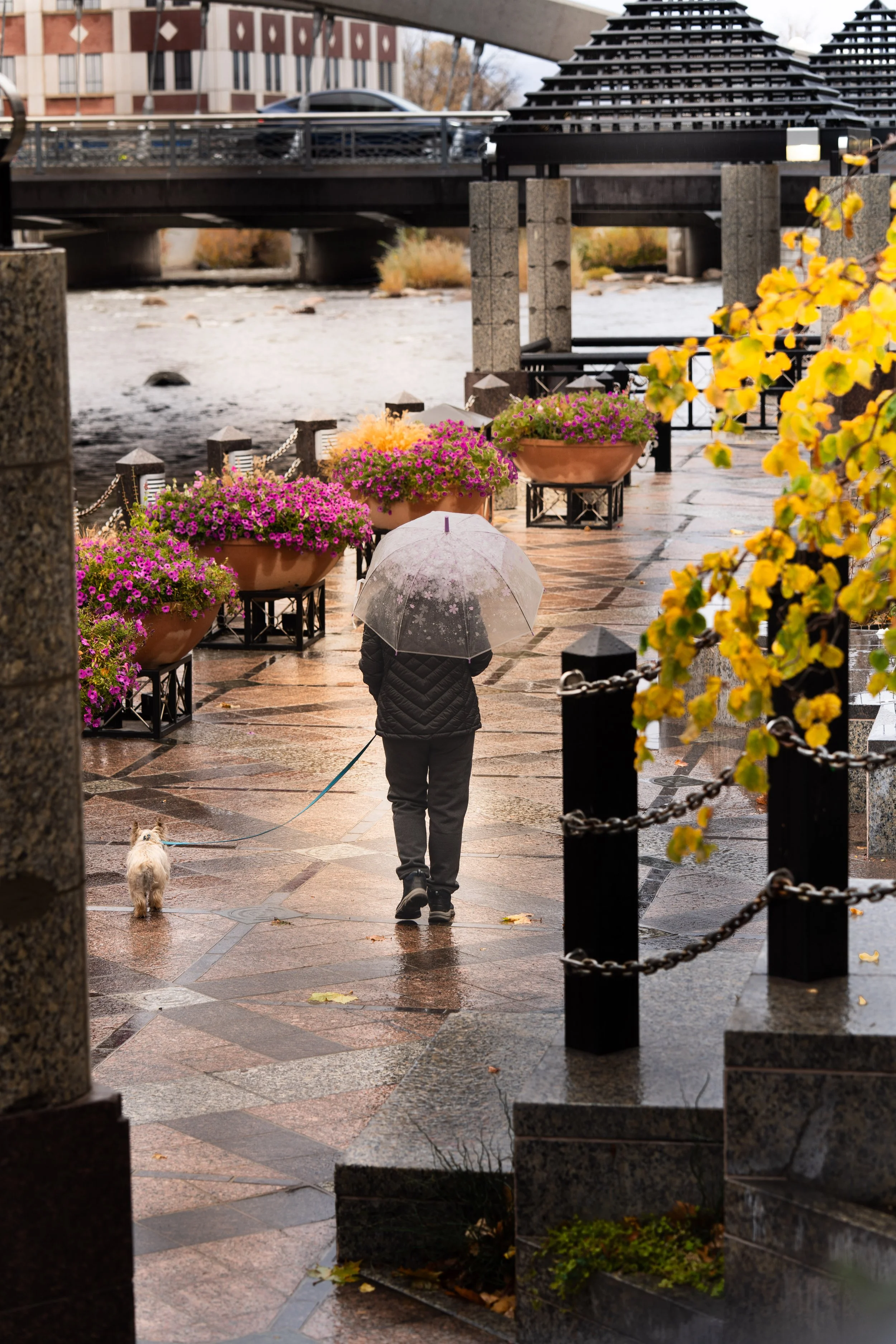 Squarespace Rainy day Downtown 2.jpg