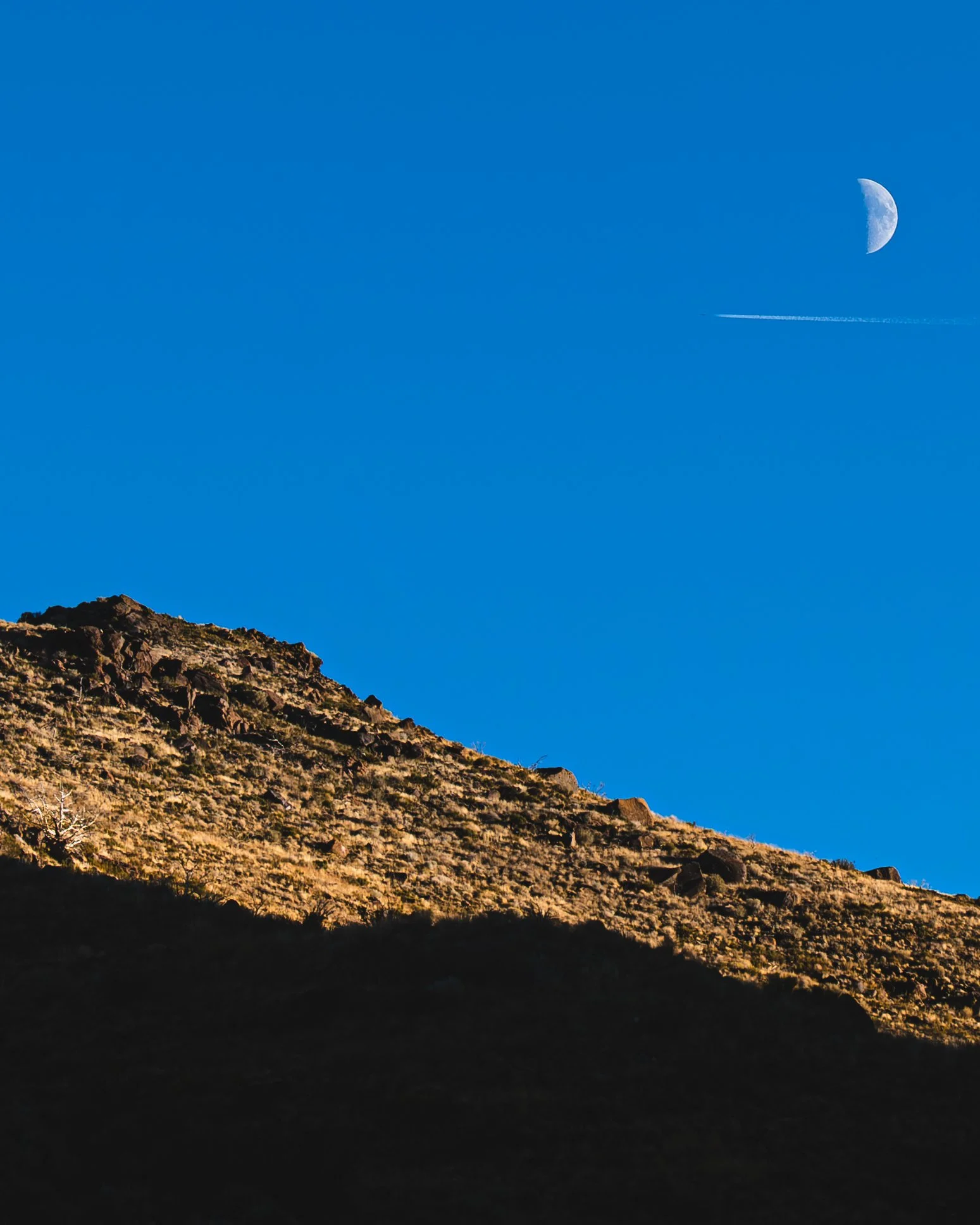 Hunter Creek Sunset Moon.jpg