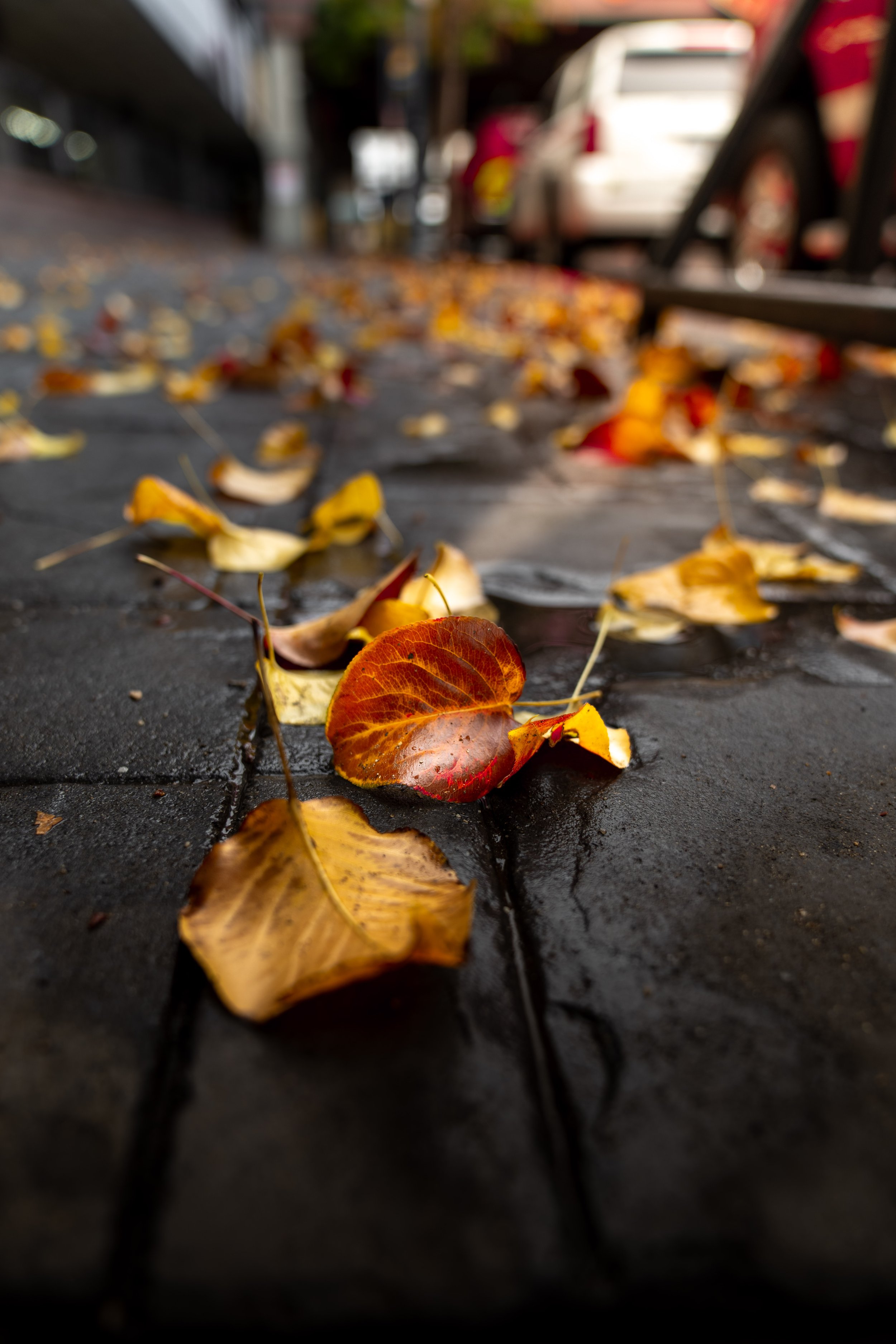 Squarespace Rainy day Downtown 6.jpg