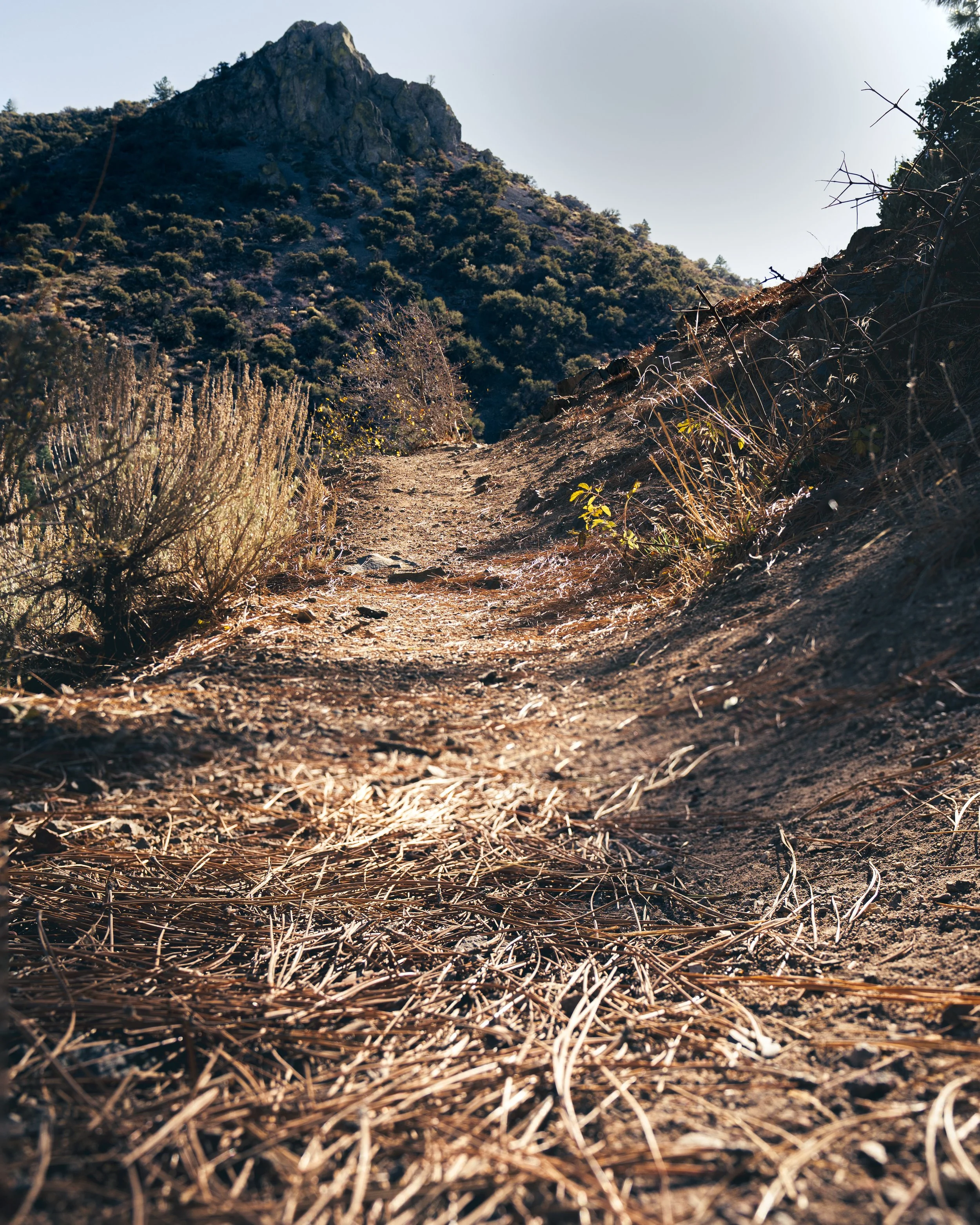 Hunter Creek Trail 1.jpg