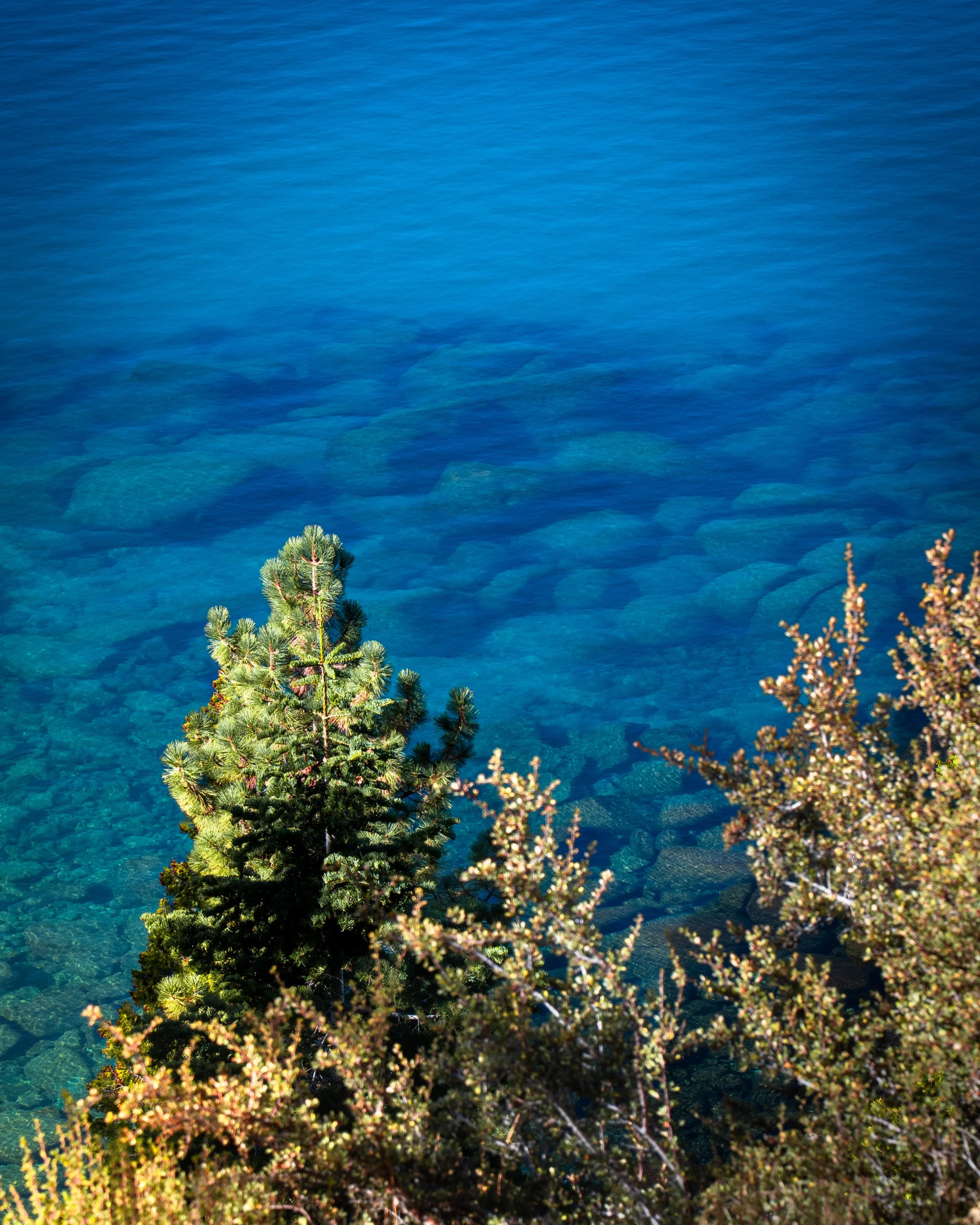 Tahoe Water 2.jpg