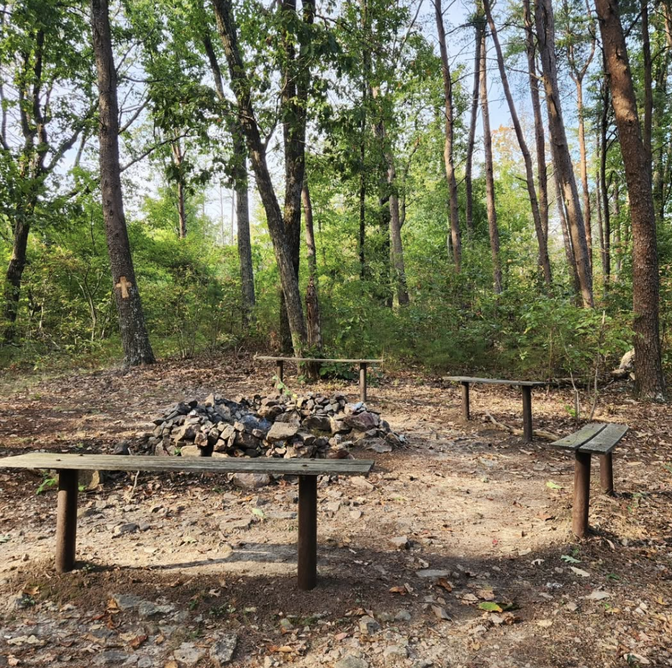 A wooded outdoor area with a campfire circle made of rocks, three wooden benches, and a forest background with trees and greenery.