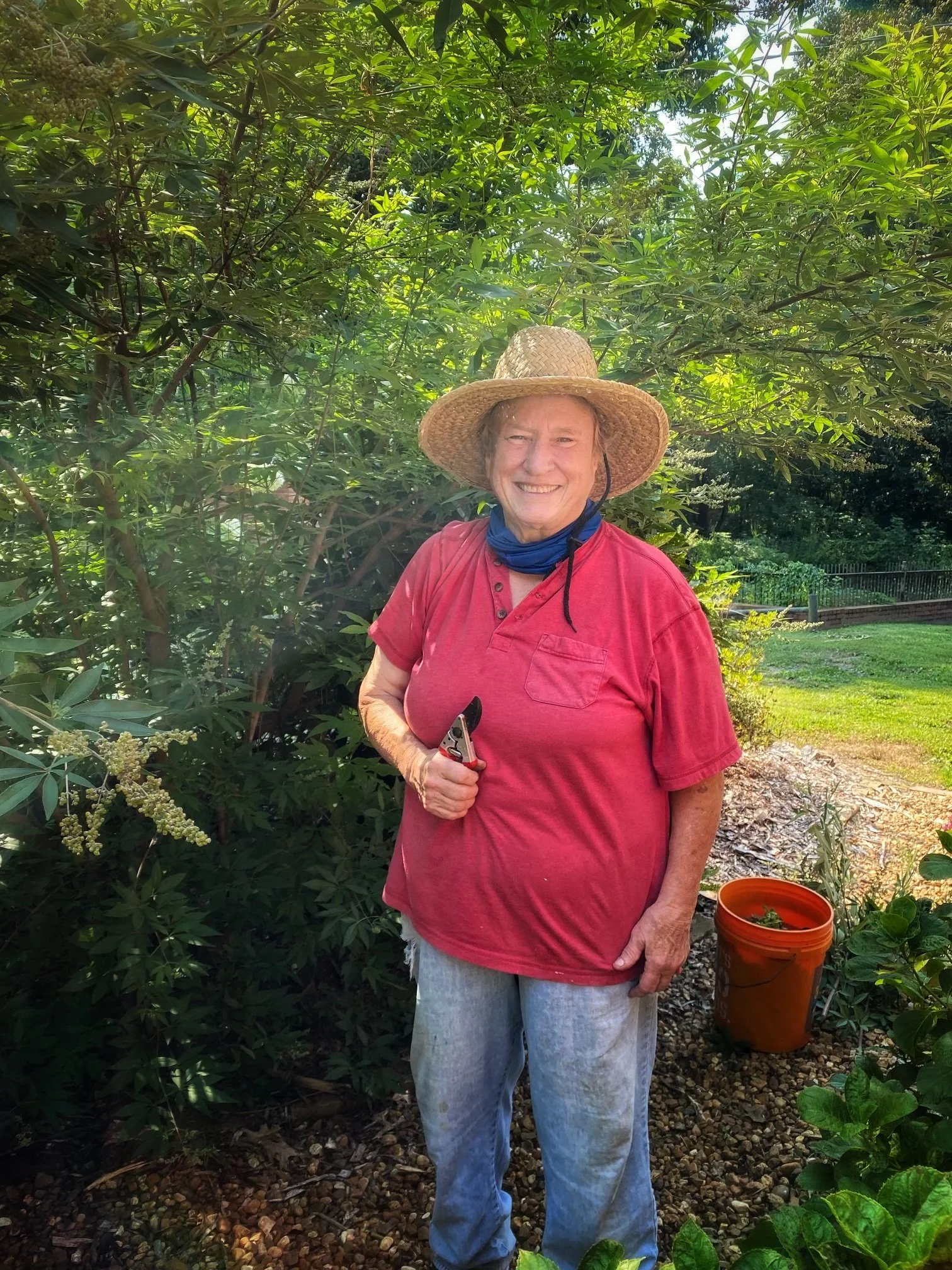 An elderly woman with short hair, smiling, standing outdoors in a garden with greenery, wearing a wide-brimmed straw hat, a red shirt, and holding pruning shears.