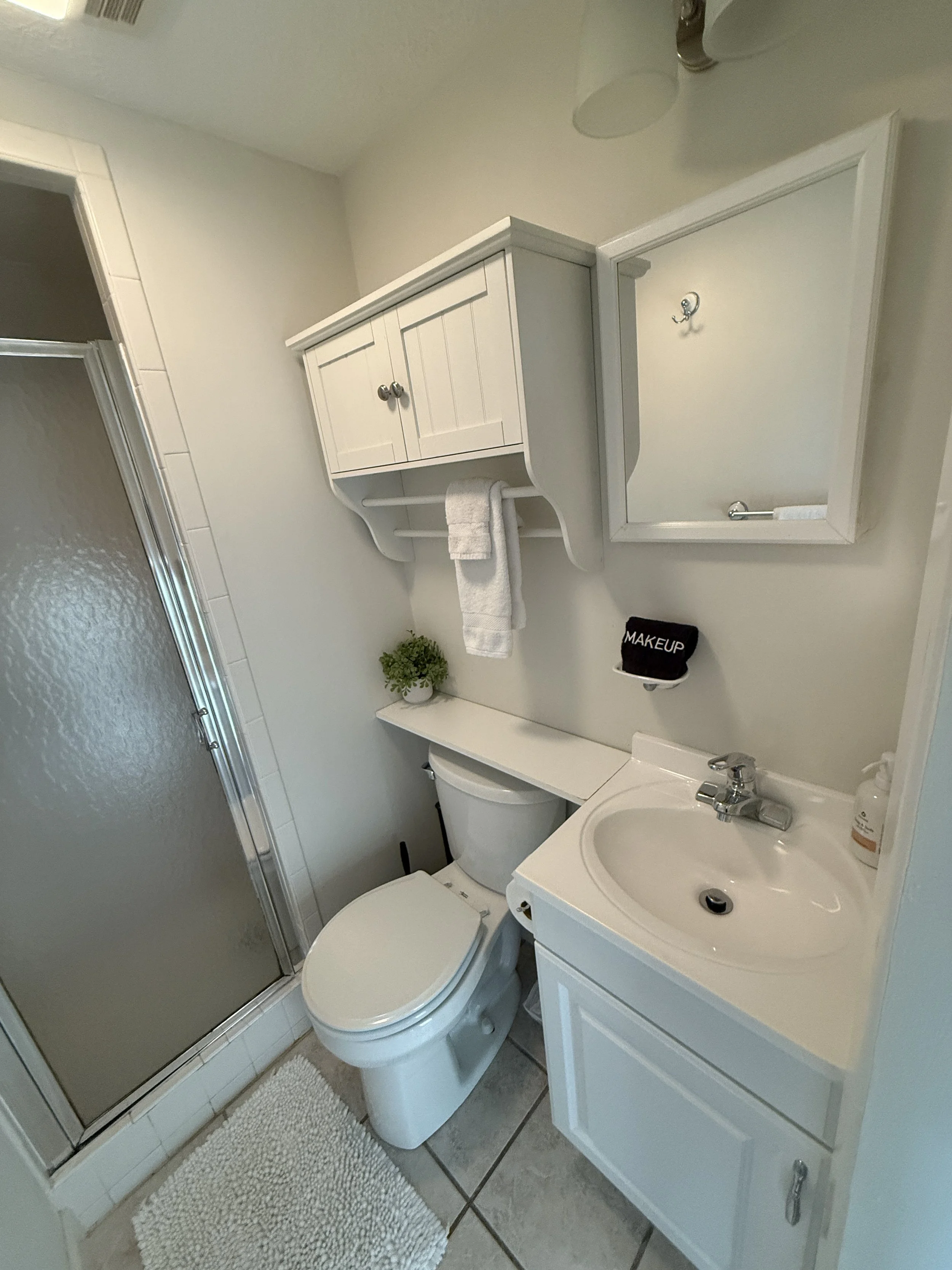 Bathroom 1 Before