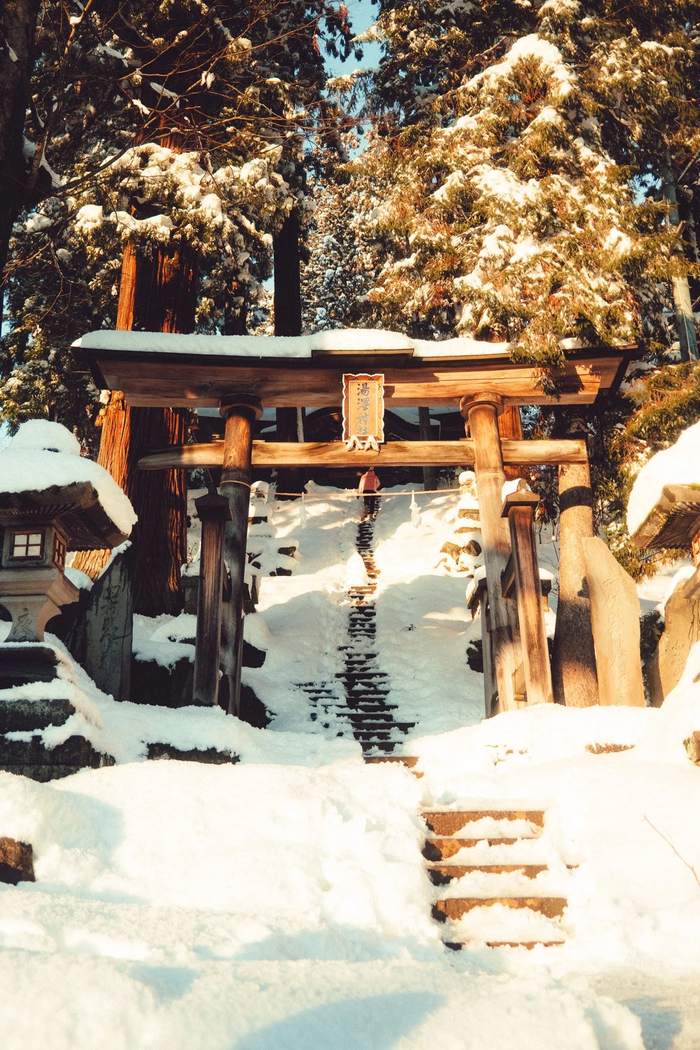 DSCF1522.jpg
