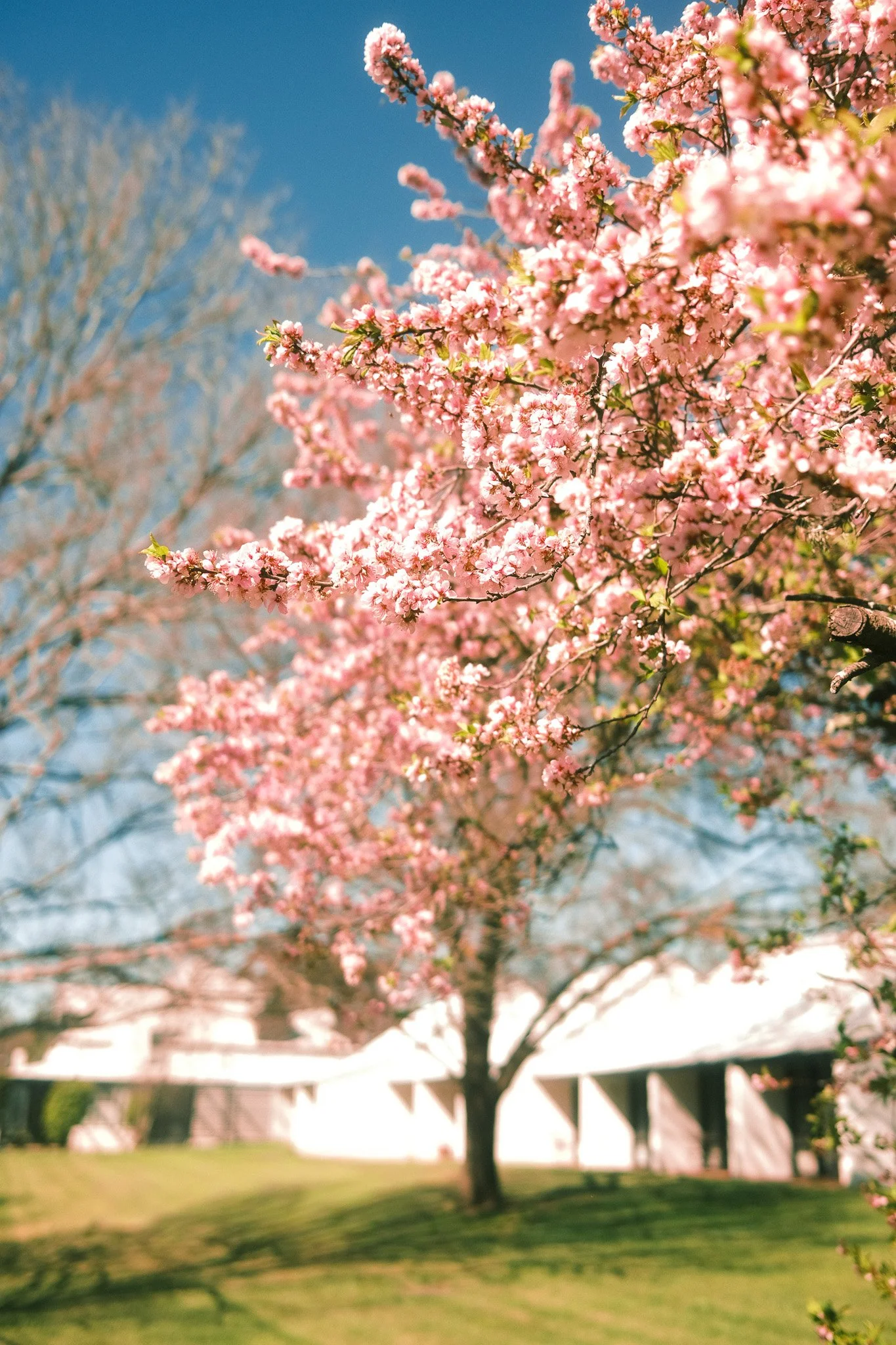 DSCF5865.jpg