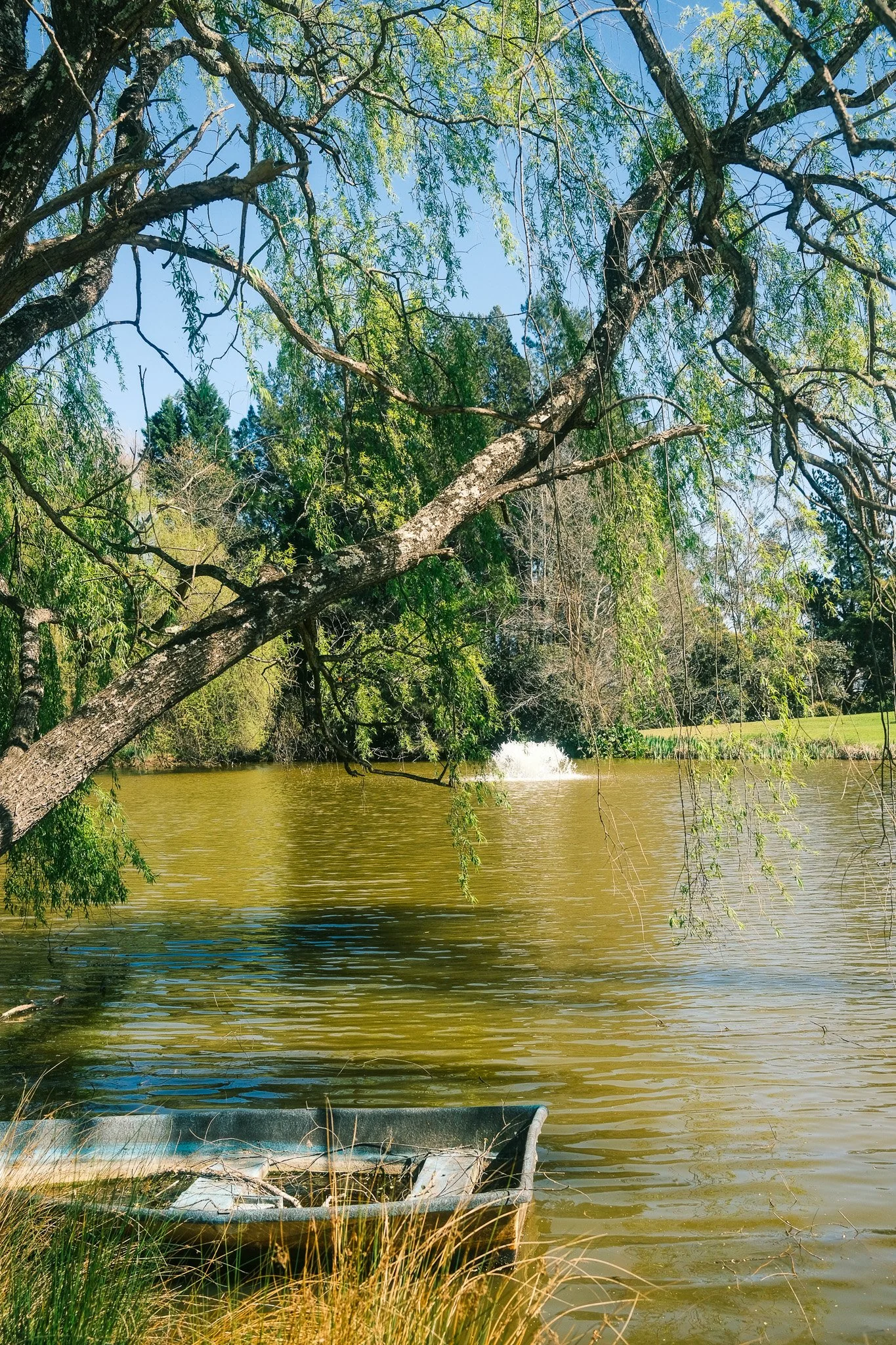 DSCF5788.jpg