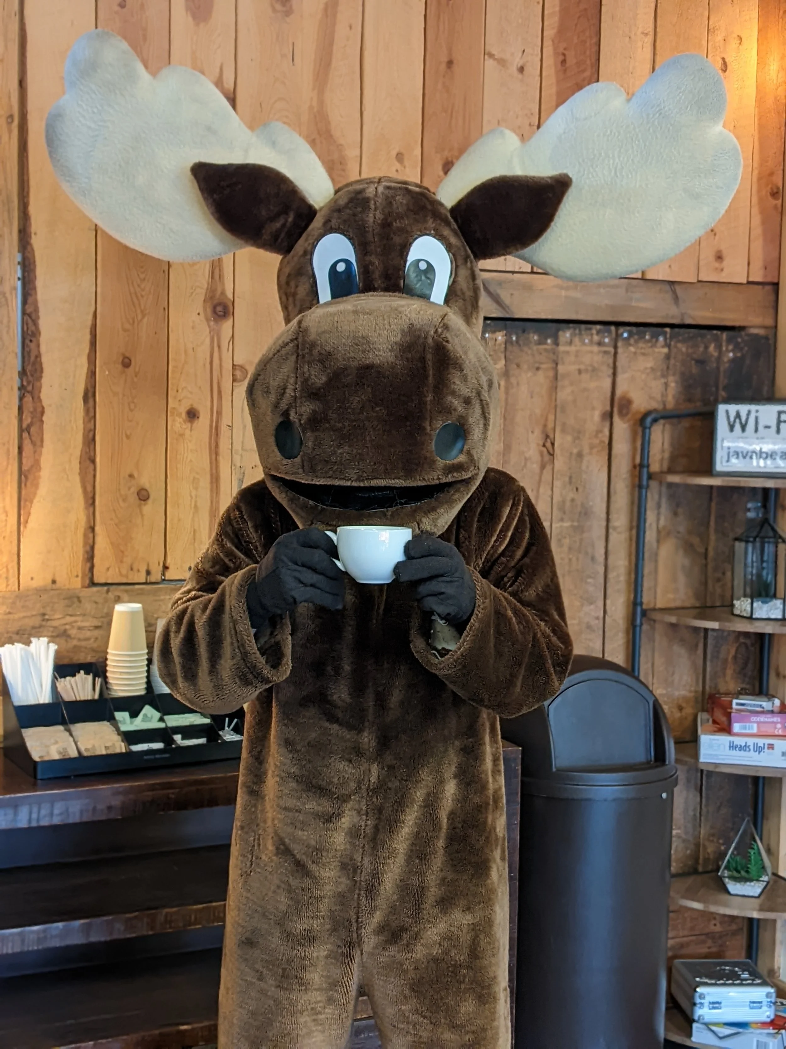A person in a moose costume with large antlers is holding a white coffee cup. The background features wooden wall panels, a black trash bin, and shelves with books and decorative items.