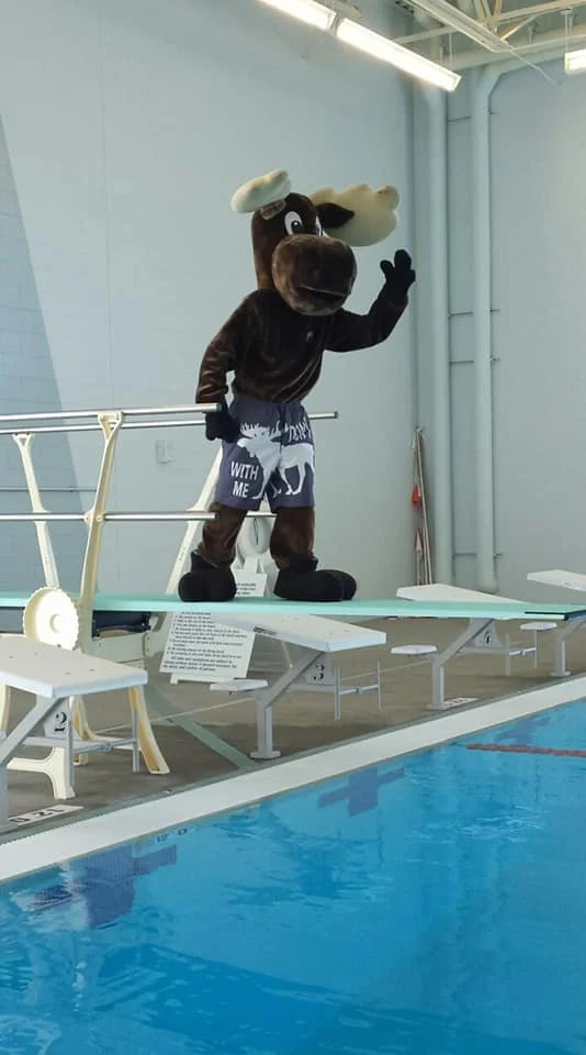 Moose-is-loose-in-Woodland-Park-Sale-08 (1).jpg