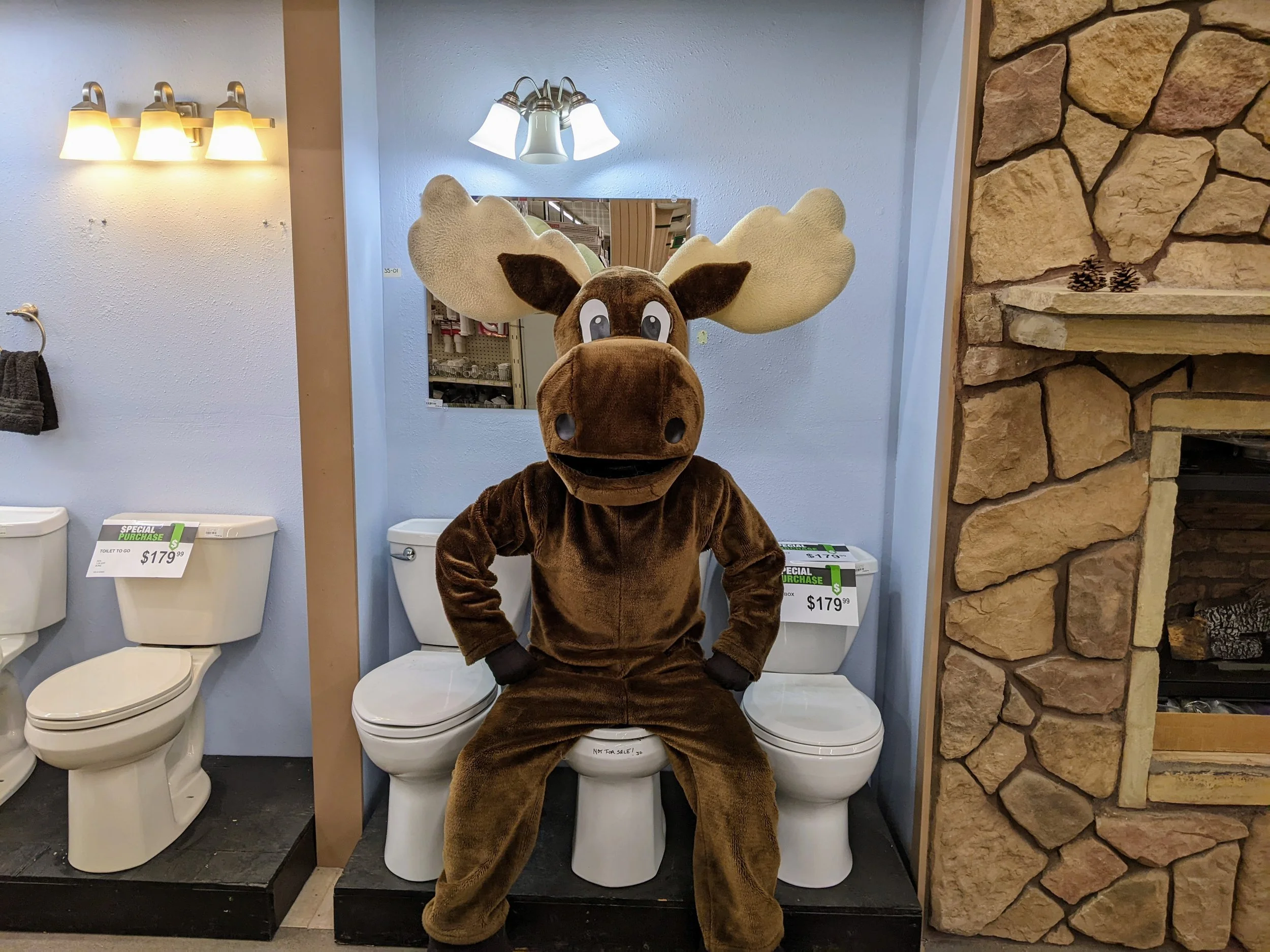 PXL_20240104_181009709.MP (1).jpg