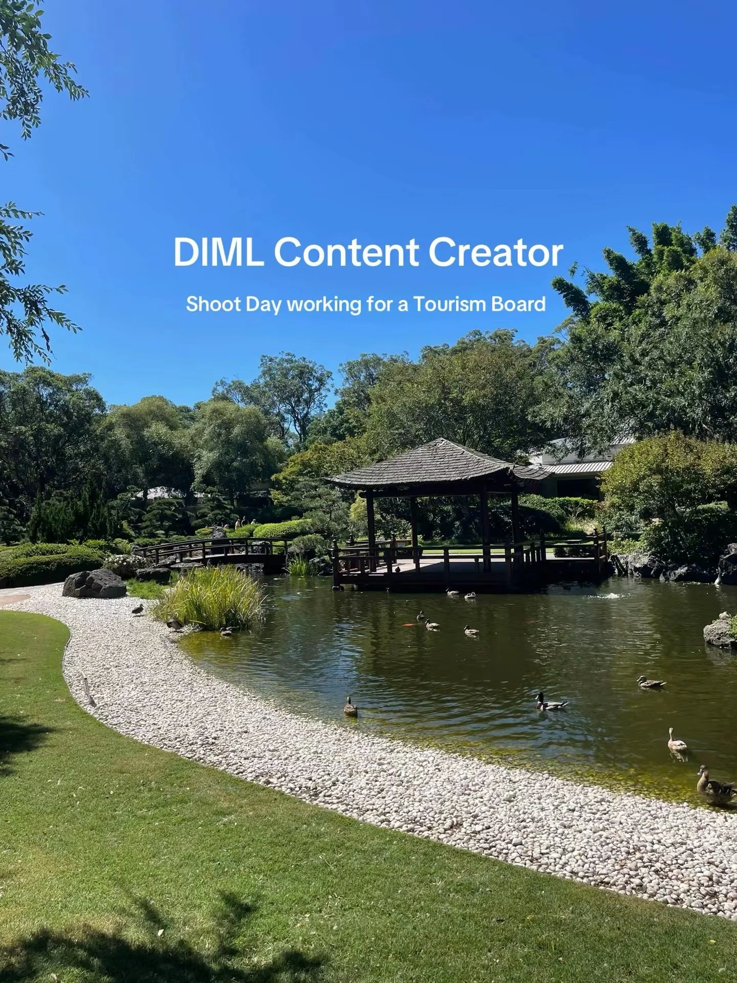 DIML as a Sydney-based content creator! Today we were working with a Tourism Board which was beyond exciting! Come behind the scenes for our looooog but fun day! 

Are you looking for a Sydney-based content creator? DM me or head to the link in my bi