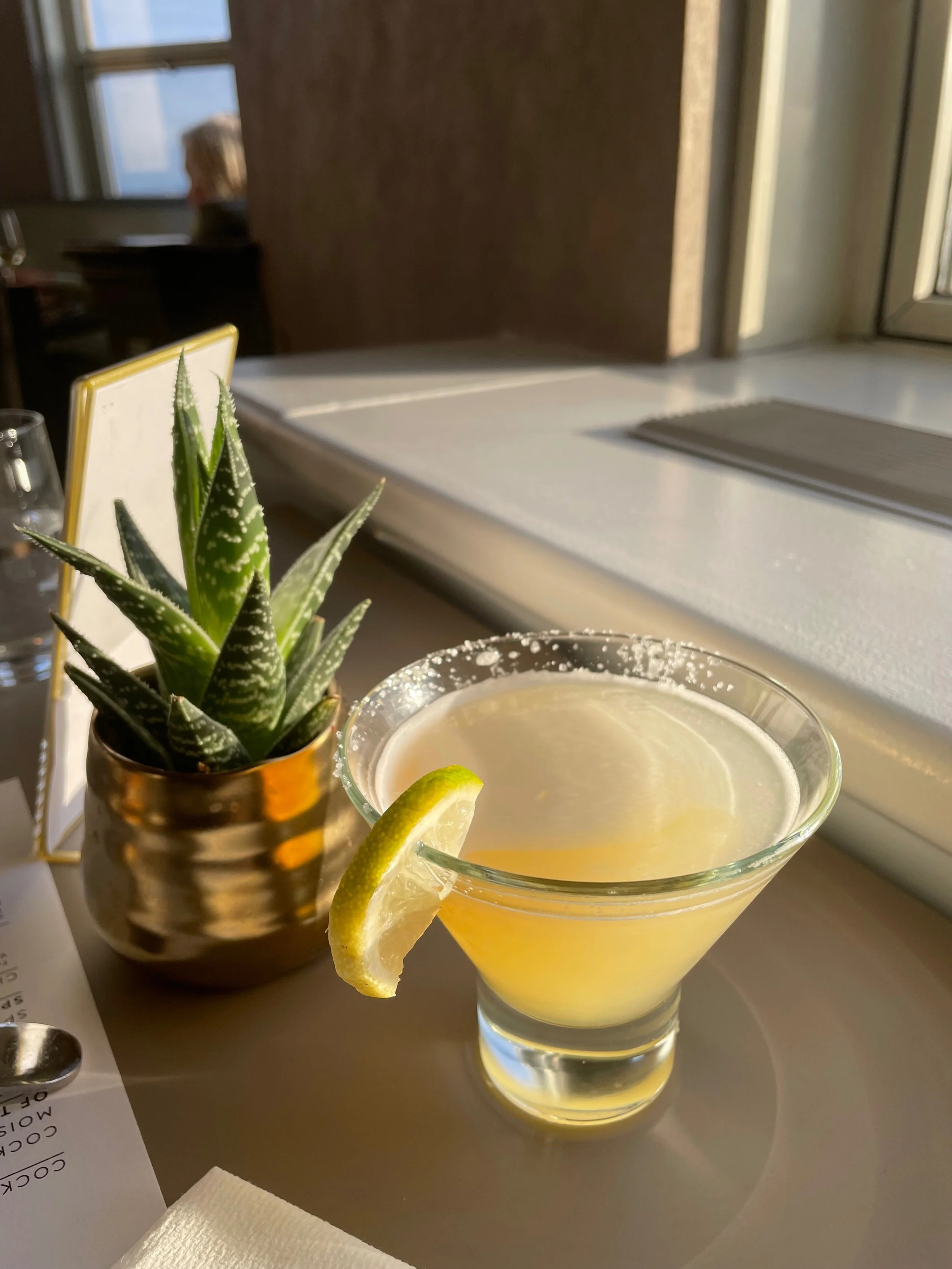 A drink with a lemon wedge garnishment on a restaurant table, with a potted succulent plant nearby, sunlight casting shadows, and a person sitting at a dimly lit background.