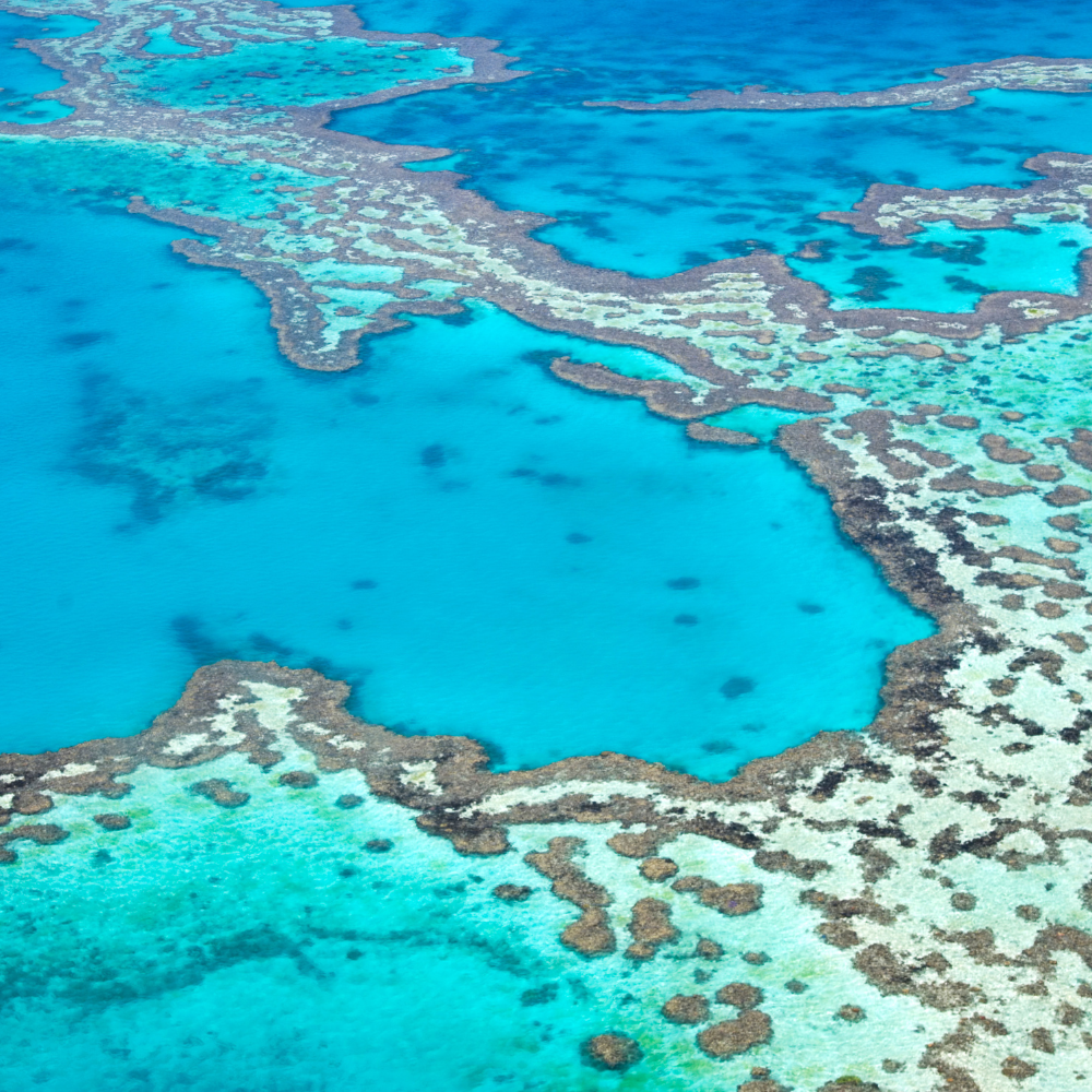 Aerial view of a vibrant coral reef and turquoise ocean waters.
