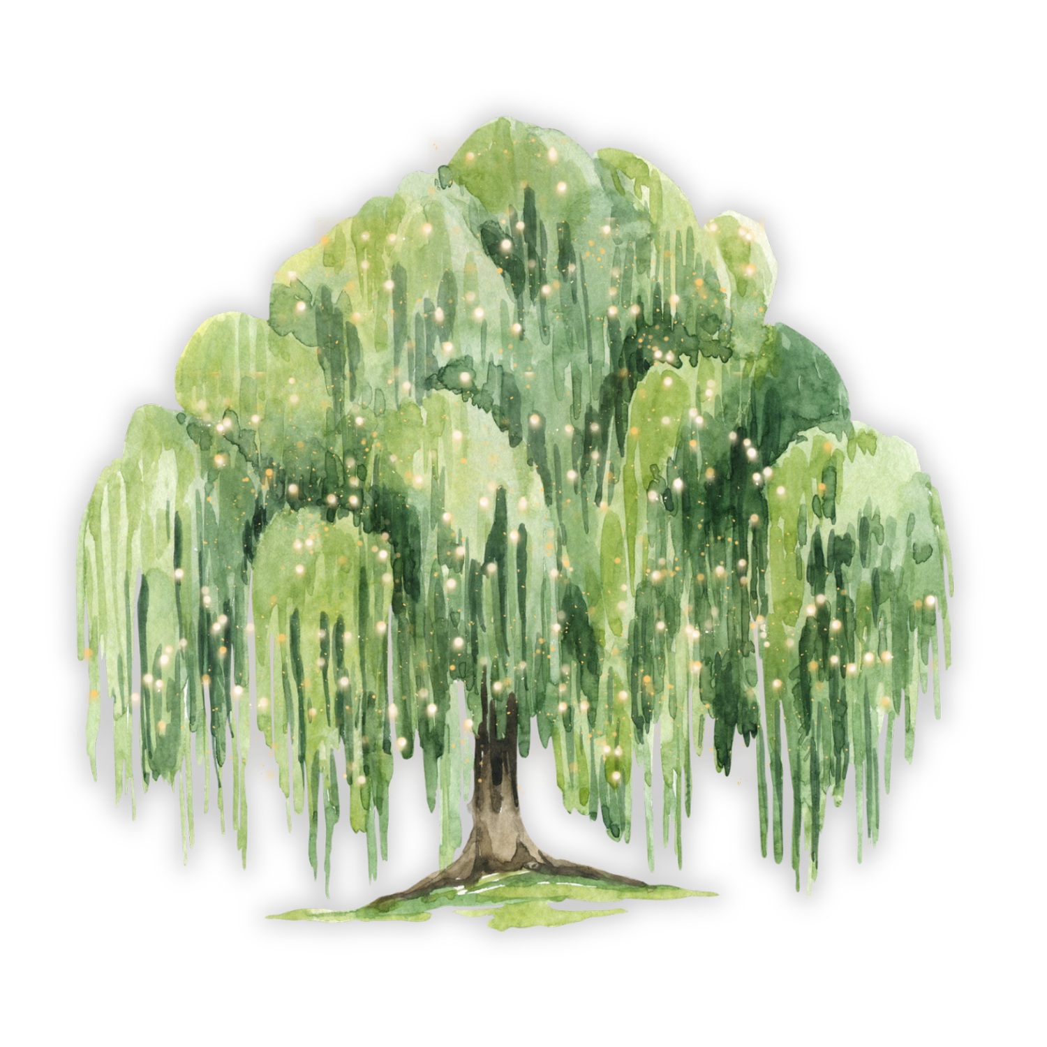 Willow Wedding Cinema