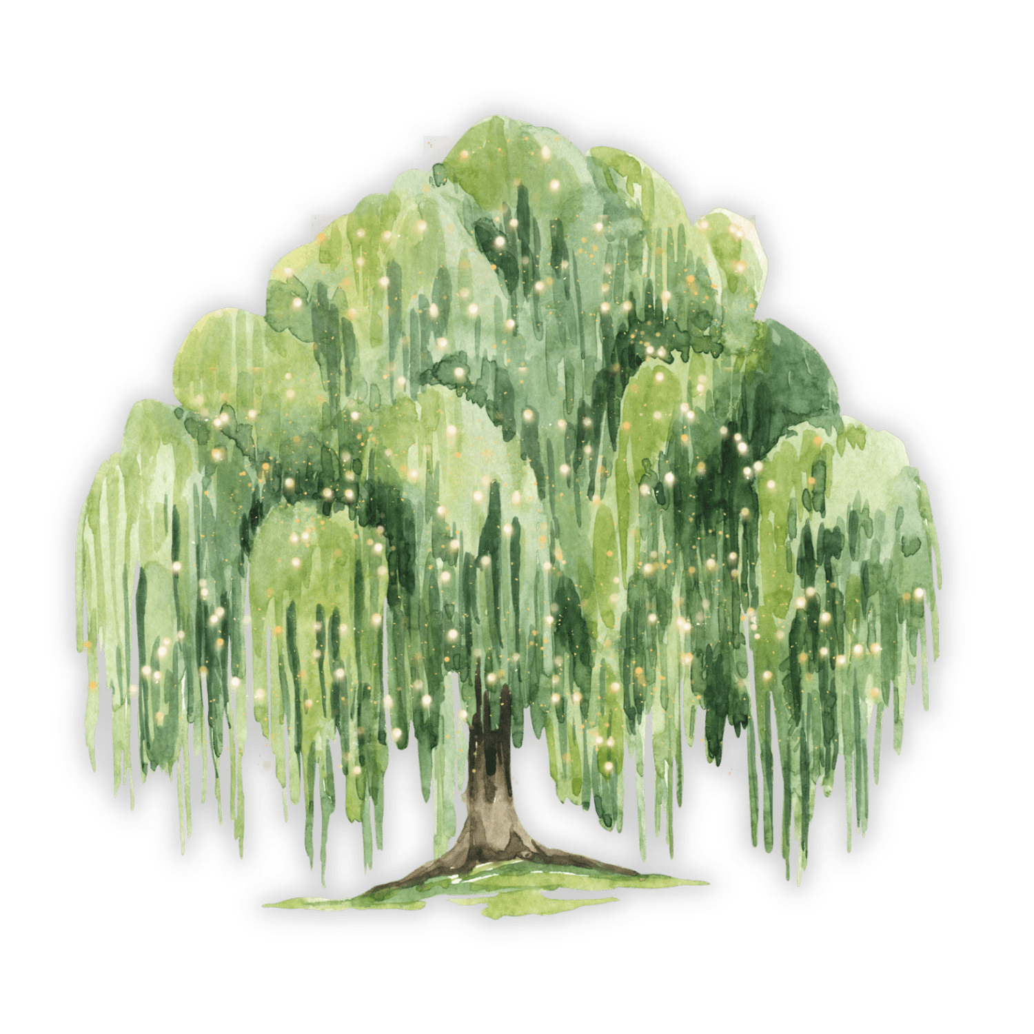 Willow Wedding Cinema