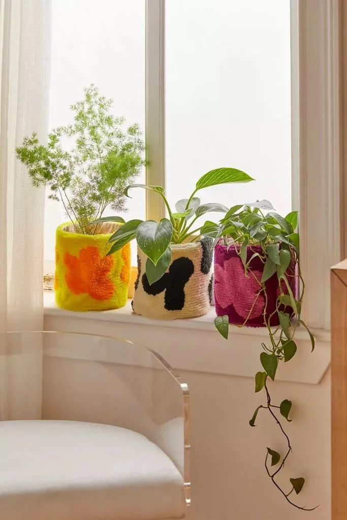 planter-cozy.jpg