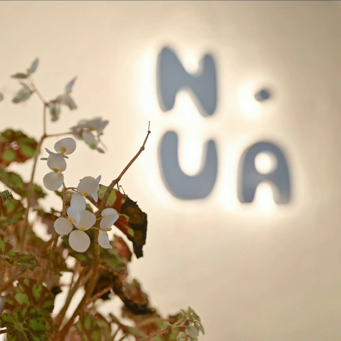 Hay espacios que se visitan y espacios a los que se pertenece. 🤍

​En Nua, nada es azar. Cada trazo, cada tono y cada textura han sido curados para ser el refugio de quienes buscan excelencia en medio del movimiento. No es solo un estudio; es el est