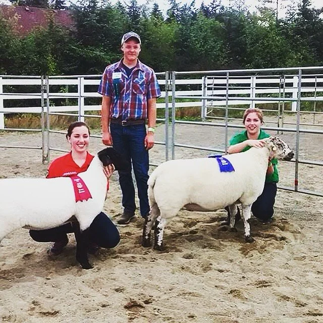 One from the vault&hellip;President @garrettjoli judging the Coombs fair 4-H sheep show. 
This great local event is this coming Saturday and Sunday August 9/10. Some IISBA members will be showing their stock, doing demos, and educating the public on 