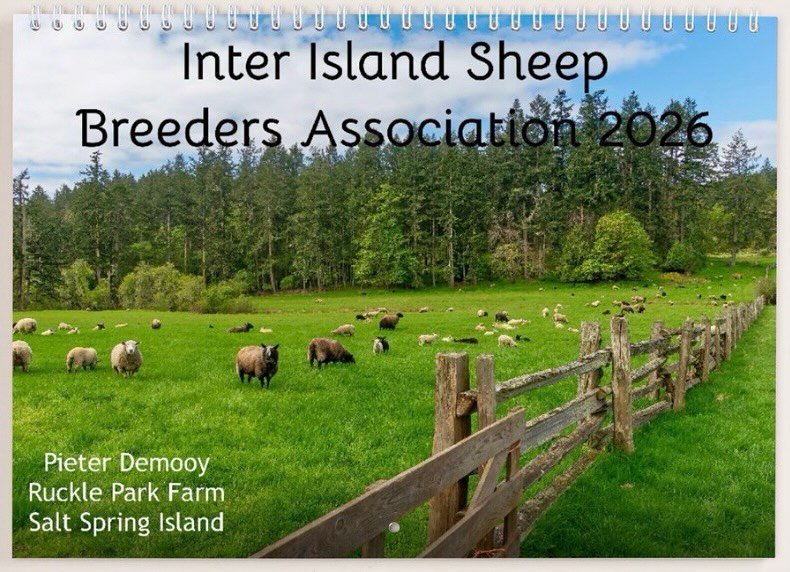 Exciting news! 💥 💥 💥 

Our annual IISBA calendars are set to arrive next week! These custom calendars feature member-only photos, and exhibit local sheep and beautiful local scenery. 
We&rsquo;ve managed to keep the cost the same at $25 per calend