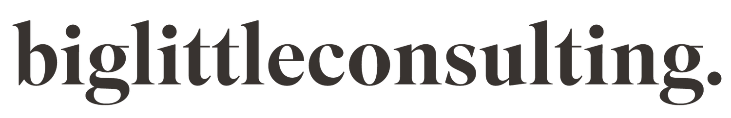 Big Little Consulting
