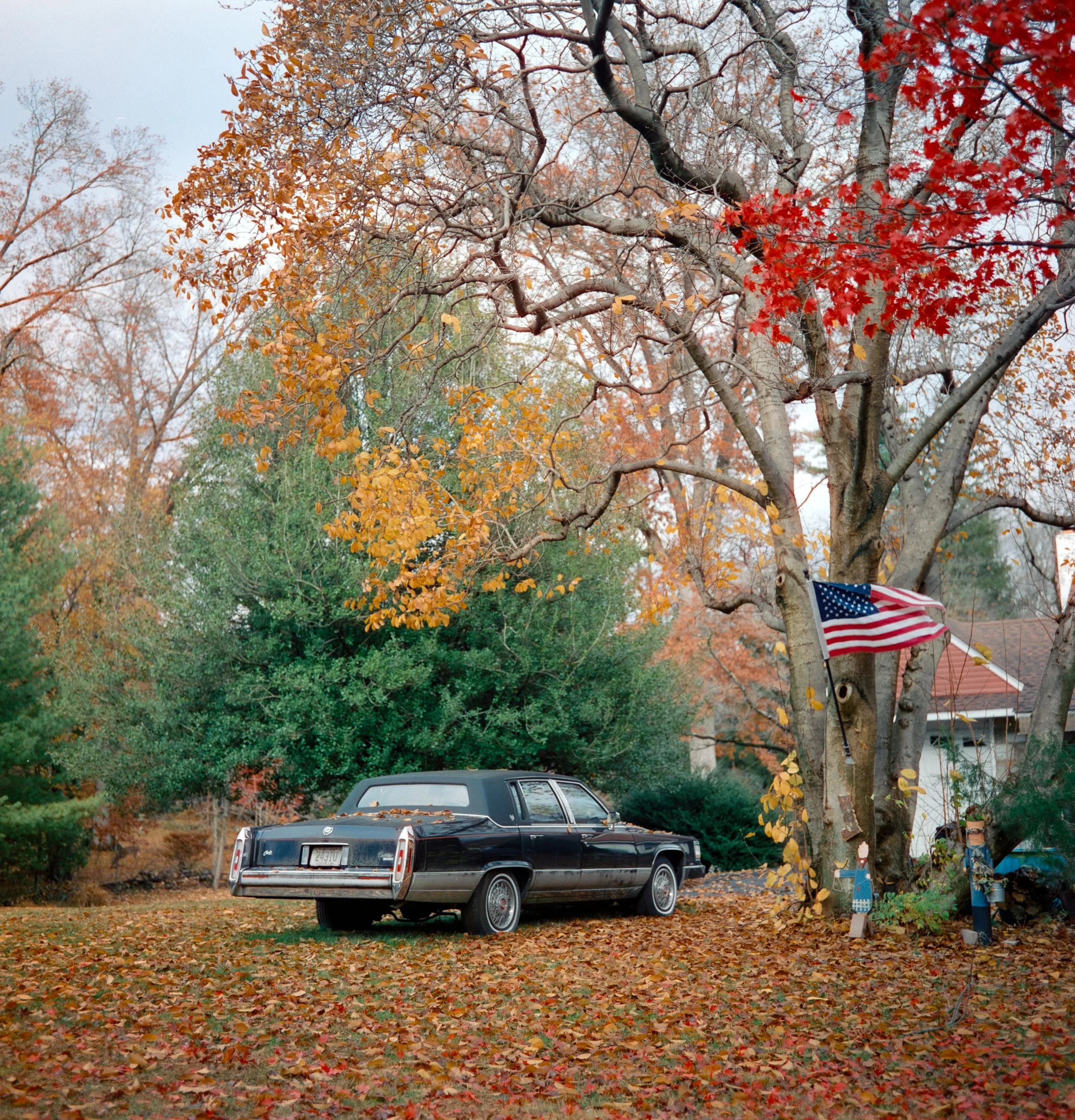 Gulfstream Book. 
Philadelphia, USA' 25
Camera: Rolleiflex 3.5F
Film: Cinestill 50D