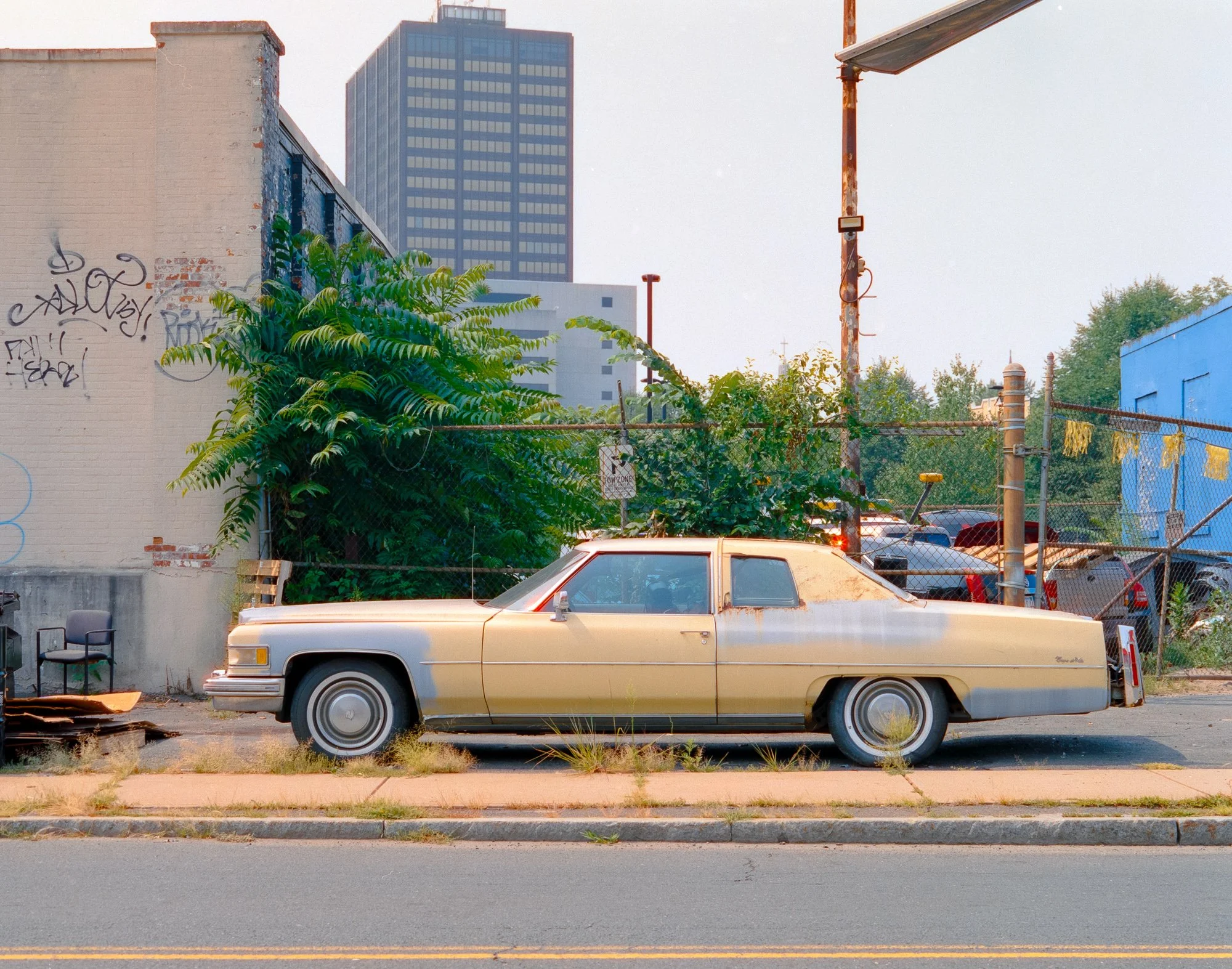 Gulfstream Book. 
Connecticut, USA  '25
Camera: Mamiya RB67 Pro SD
Film: Cinestill 800T
