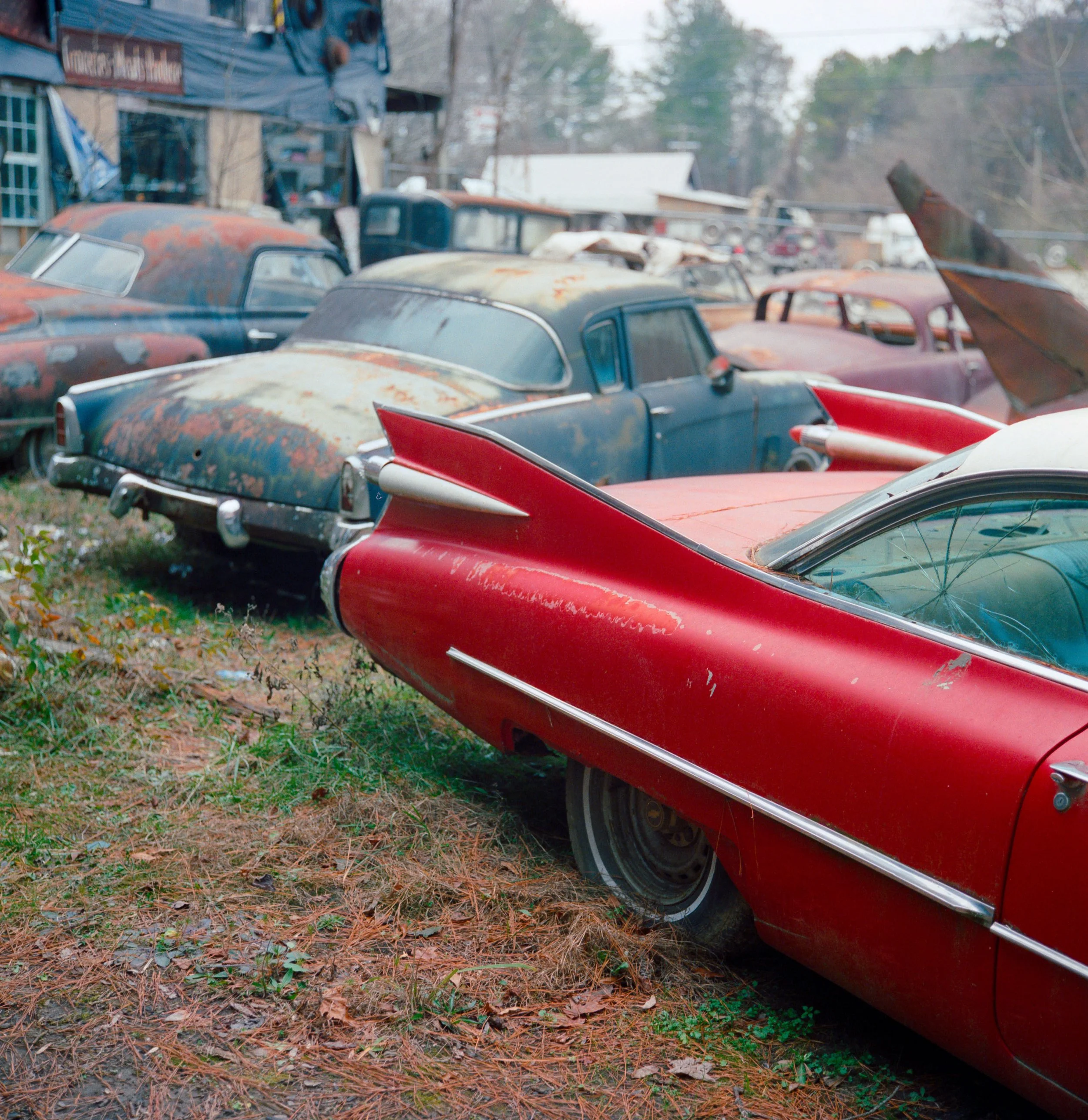Gulfstream Book. 
Georgia, USA  '24
Camera: Rolleiflex 2.8 Xenotar
Film: Cinestill 400D