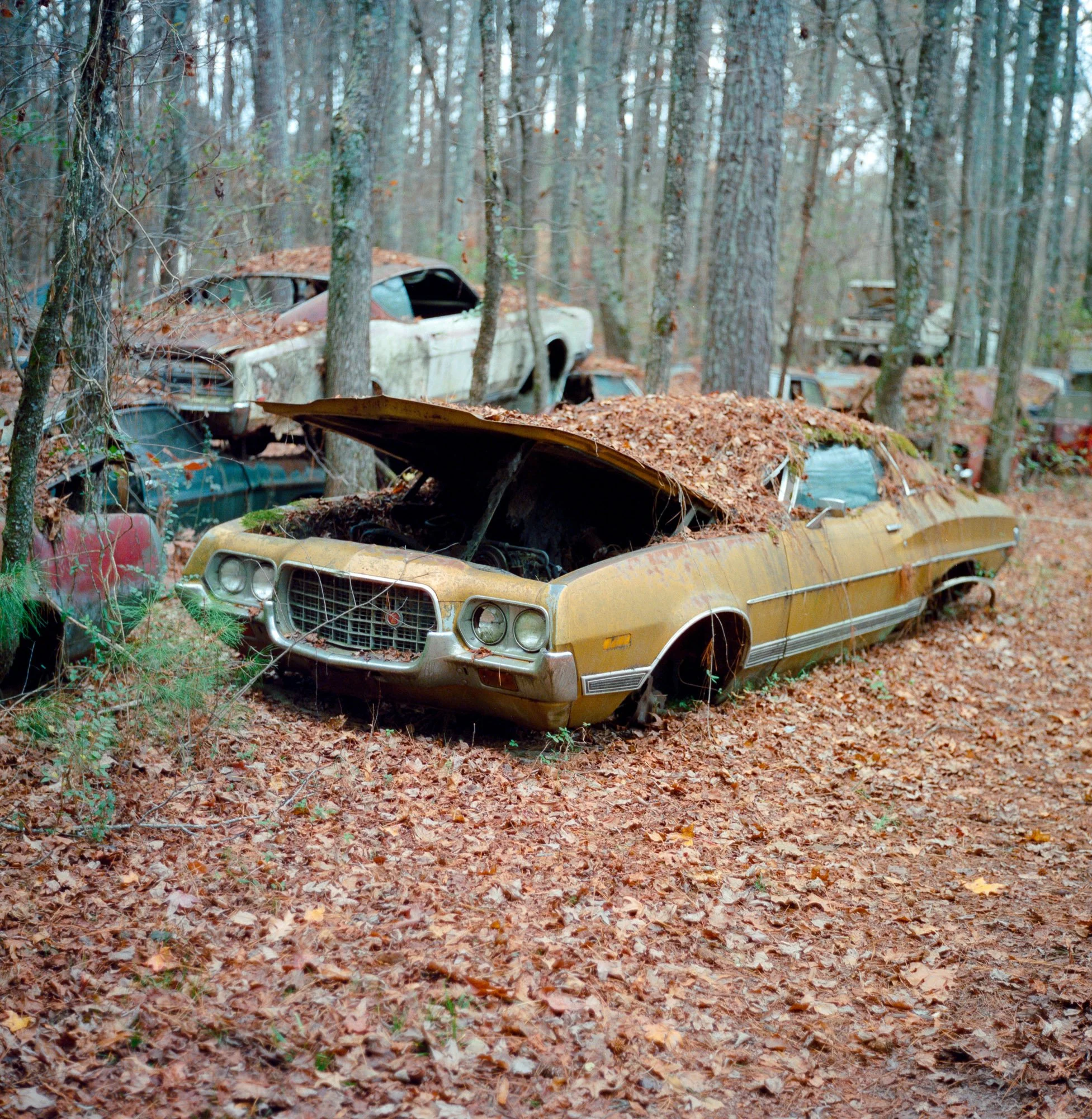 Gulfstream Book. 
Georgia, USA  '24
Camera: Rolleiflex 2.8 Xenotar
Film: Cinestill 400D