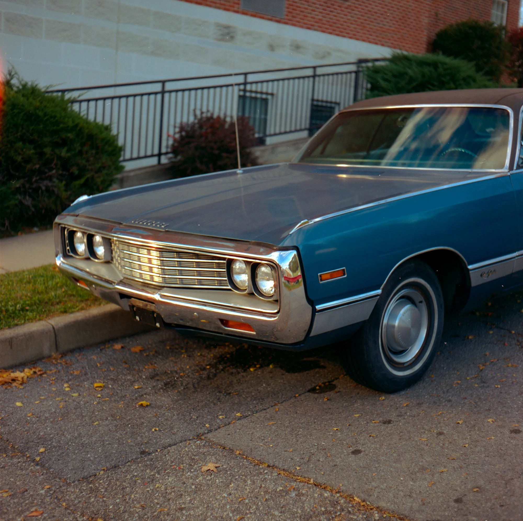 Gulfstream Book. 
Maryland, USA  '23
Camera: Mamiya C330F
Film: Cinestill 400D