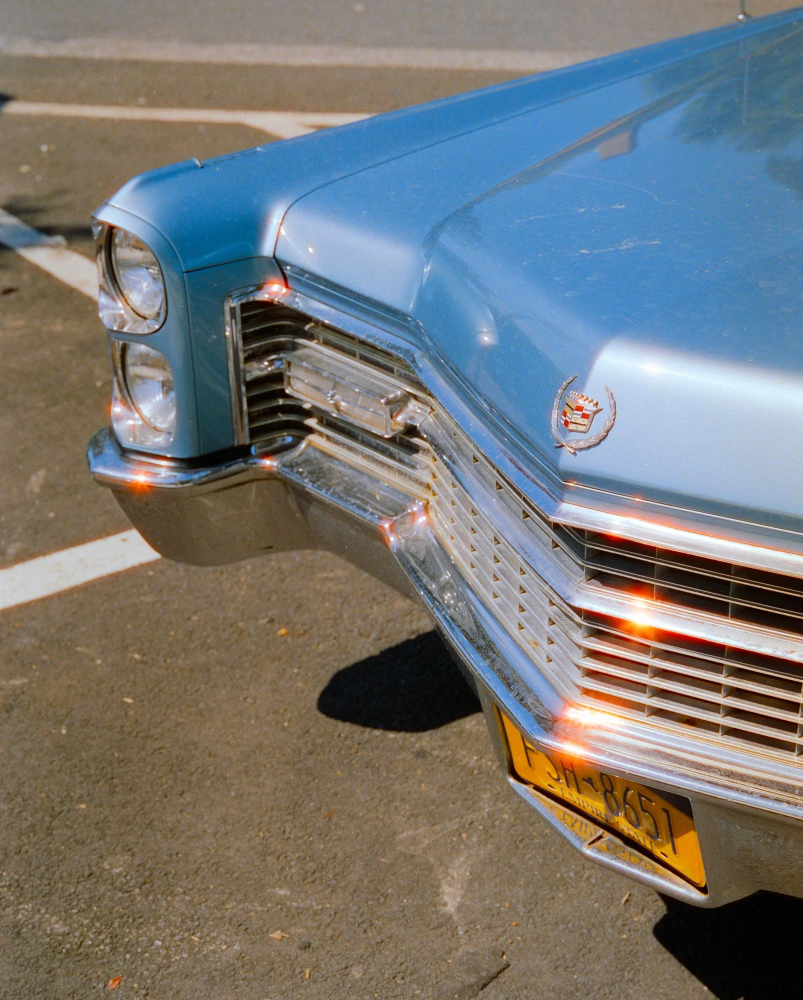 Gulfstream Book. 
Connecticut, USA  '25
Camera: Mamiya RB67 Pro SD
Film: Cinestill 800T
