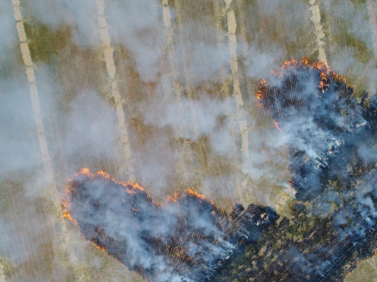 DJI_0507.jpg