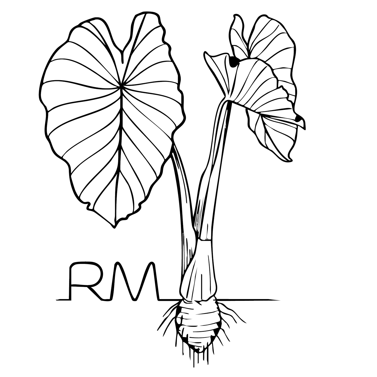 Rooted Massage botanical logo