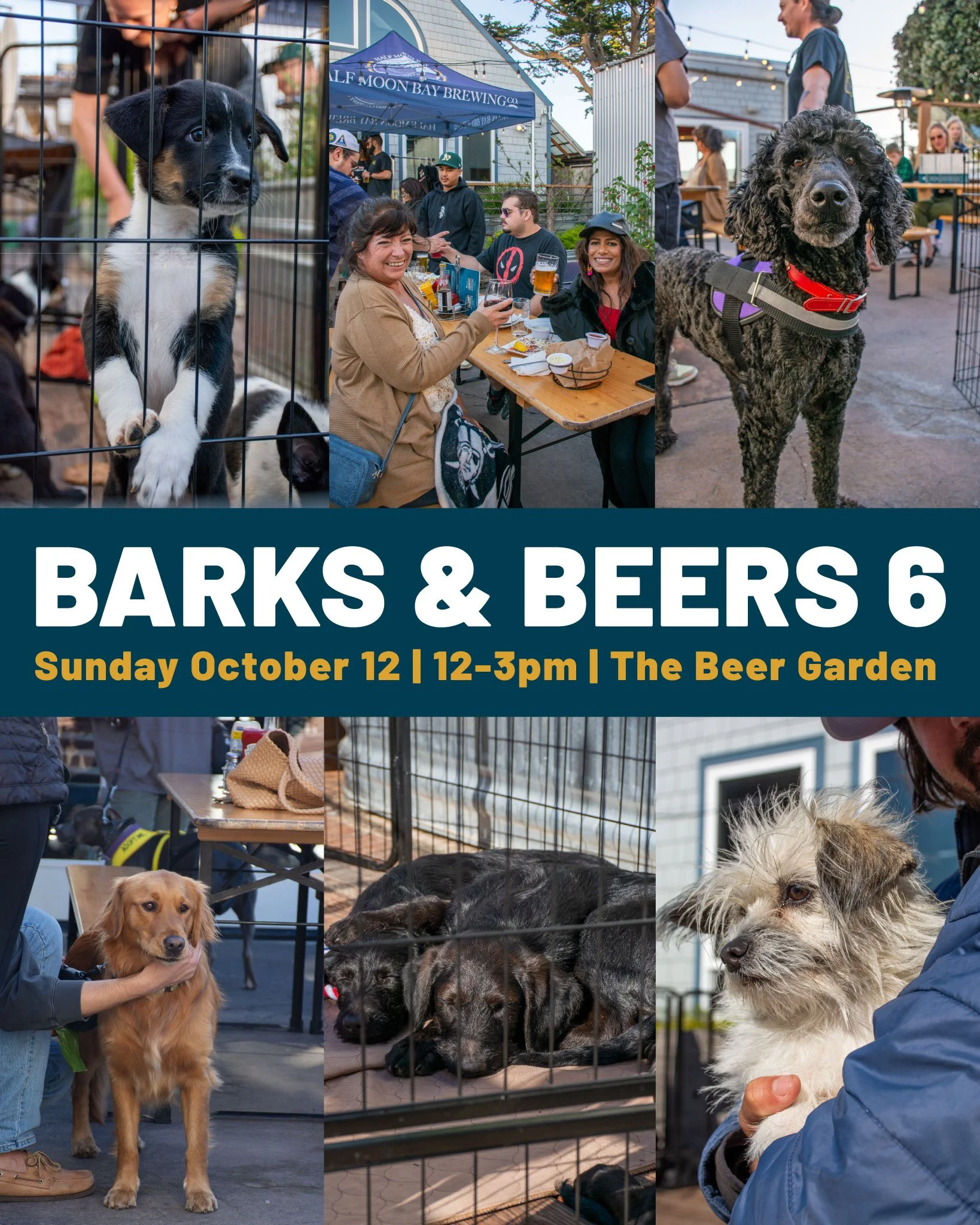 Barks &amp; Beers