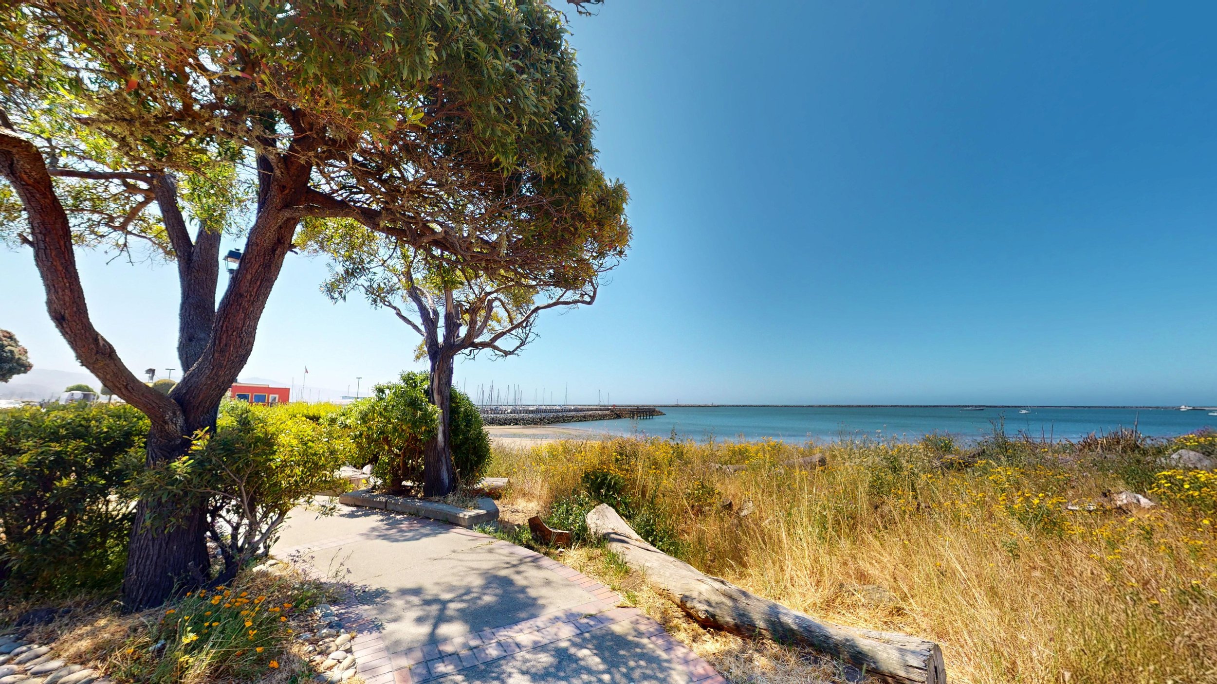 Half-Moon-Bay-Brewing-Photos (High-Res)26.jpg