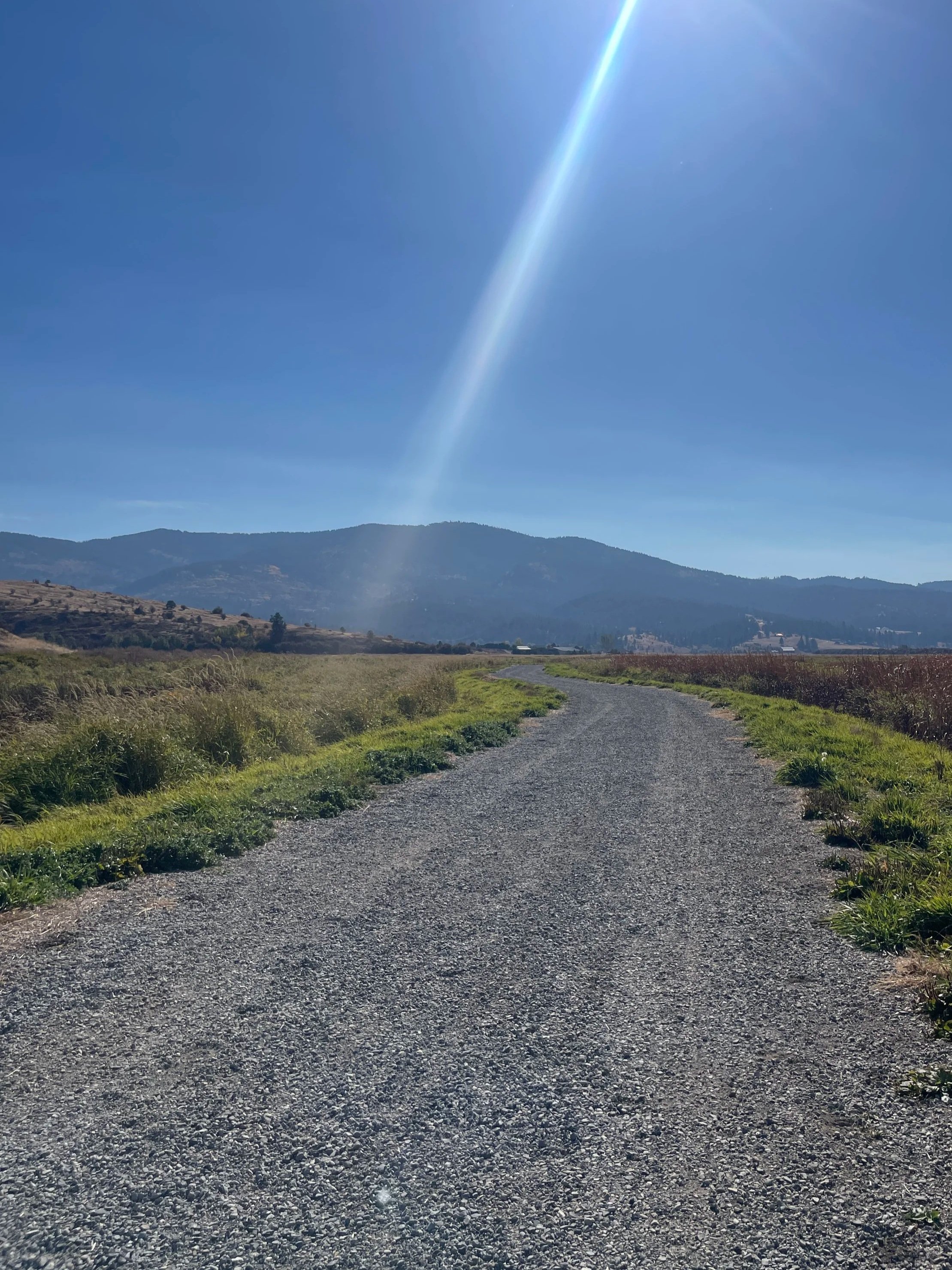 A gravel path winding through a rural landscape with green grass on either side, leading towards distant hills under a clear blue sky with the sun shining and a bright streak of sunlight visible.