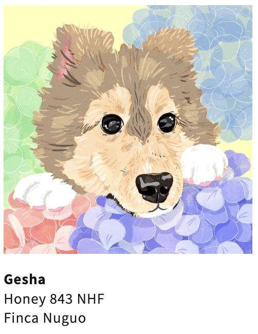 Screenshot 2025-12-29 at 3.59.41 PM.png