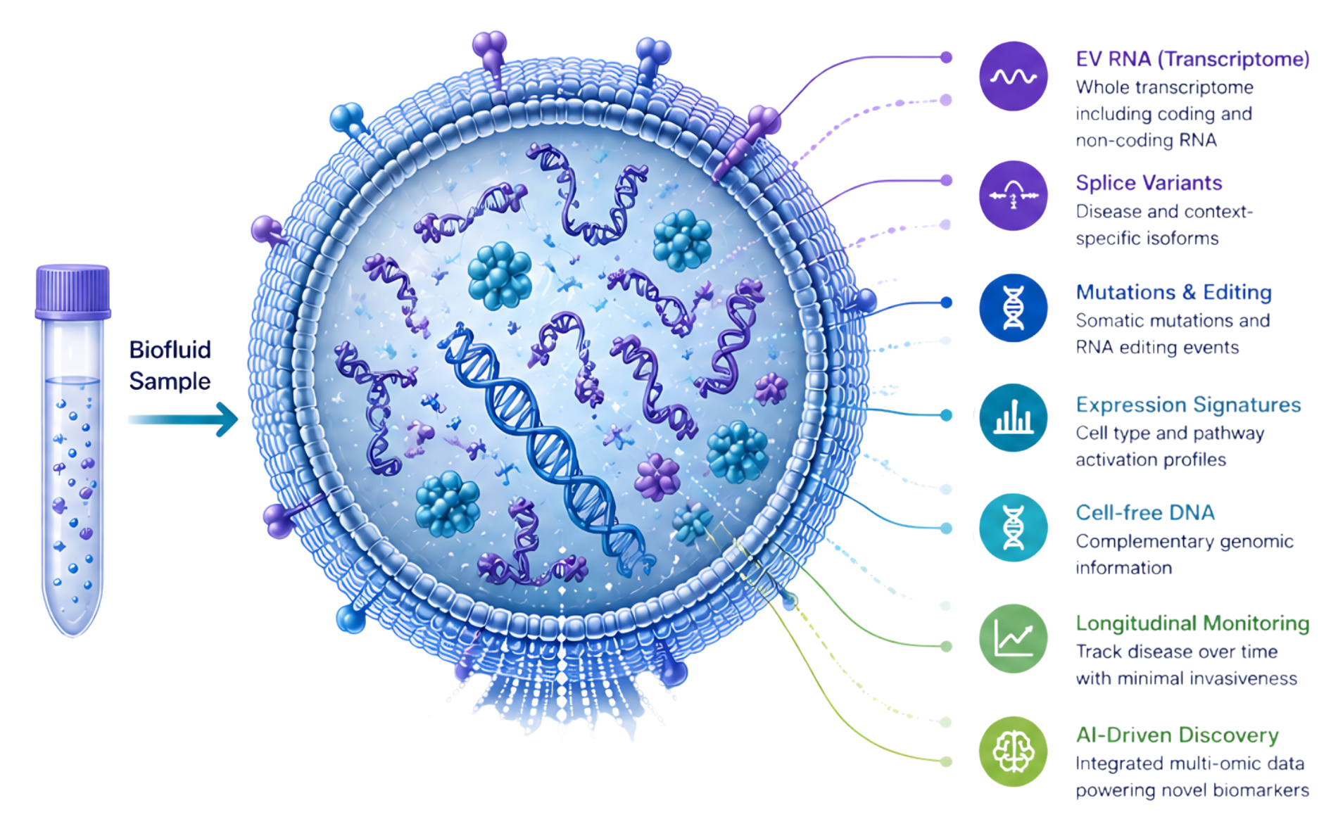 Detailed diagram of a virus showing the viral envelope, RNA inside, and various functional features including transcription, mutation, DNA integration, and long-term monitoring.