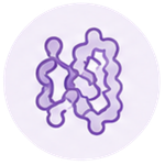 Illustration of a DNA double helix in purple outline.