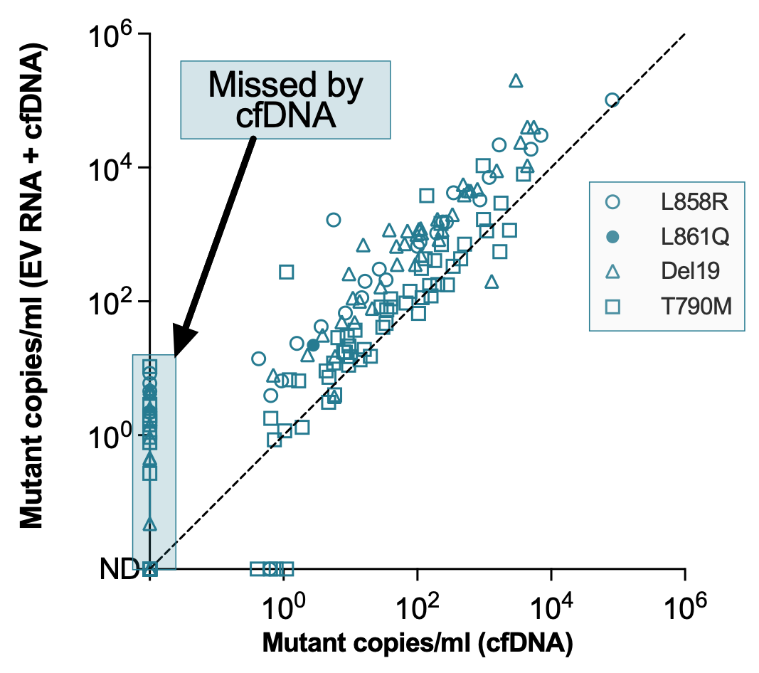 Scatter plot