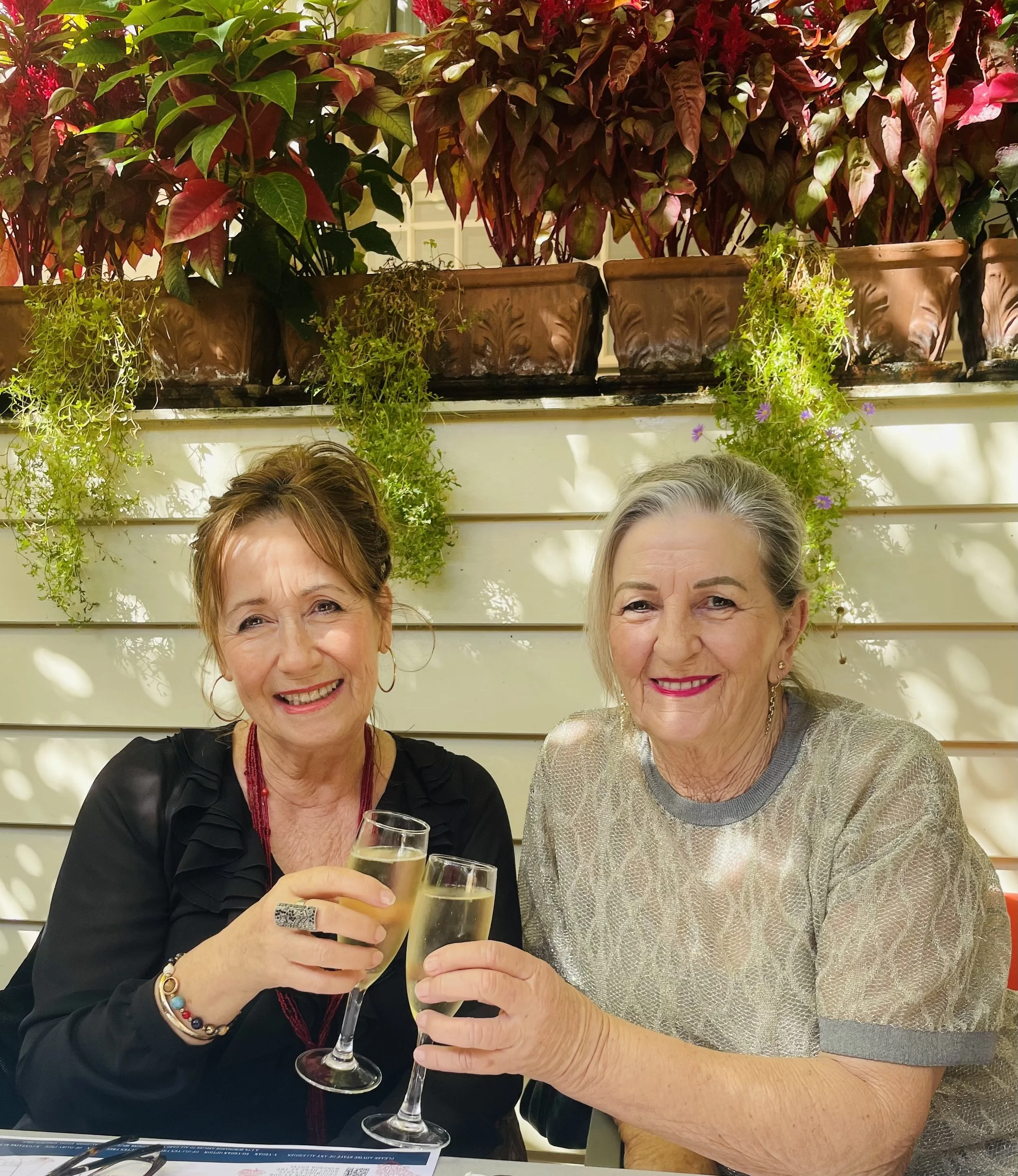 Two elderly women are sitting at a table, smiling, and holding glasses of champagne, in front of a beige wall with hanging green plants and potted plants above.