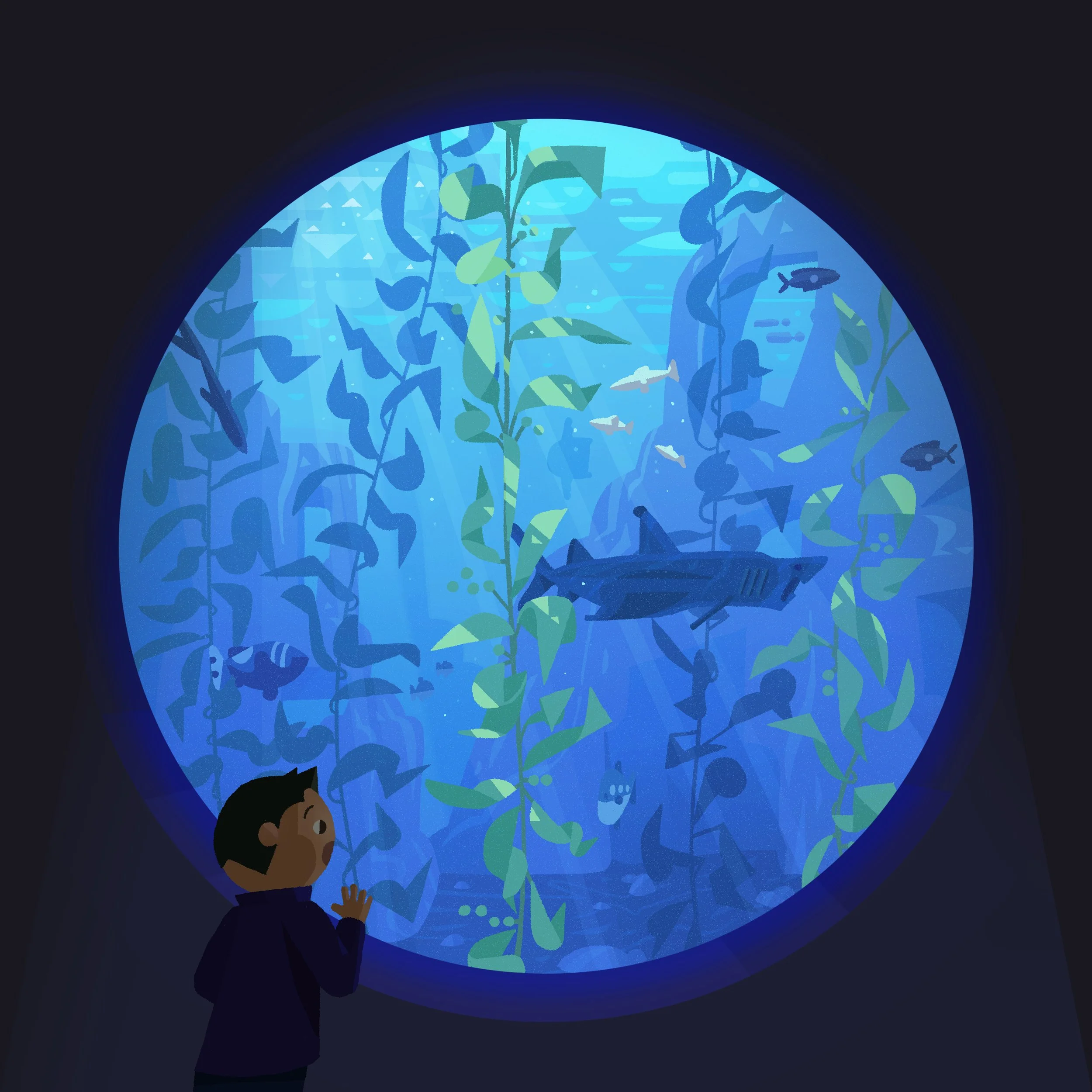 aquarium1_V16.jpg