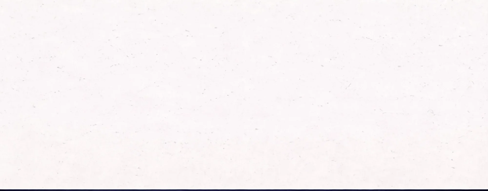 sws section 1 background.jpg