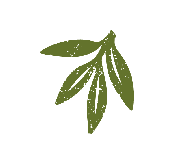 A Day in the Gully | Gum Trees