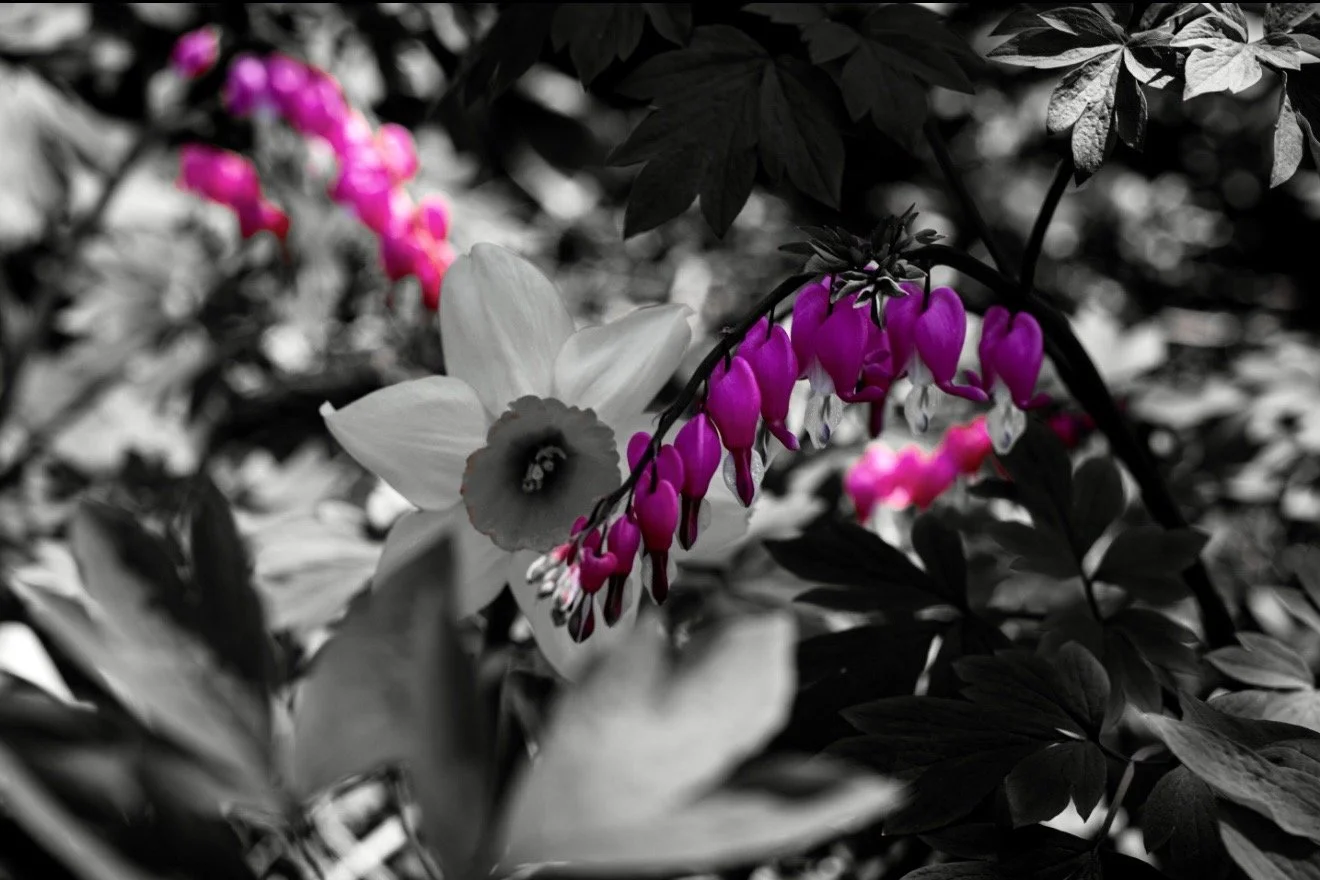 Held in Contrast — Fine Art Print