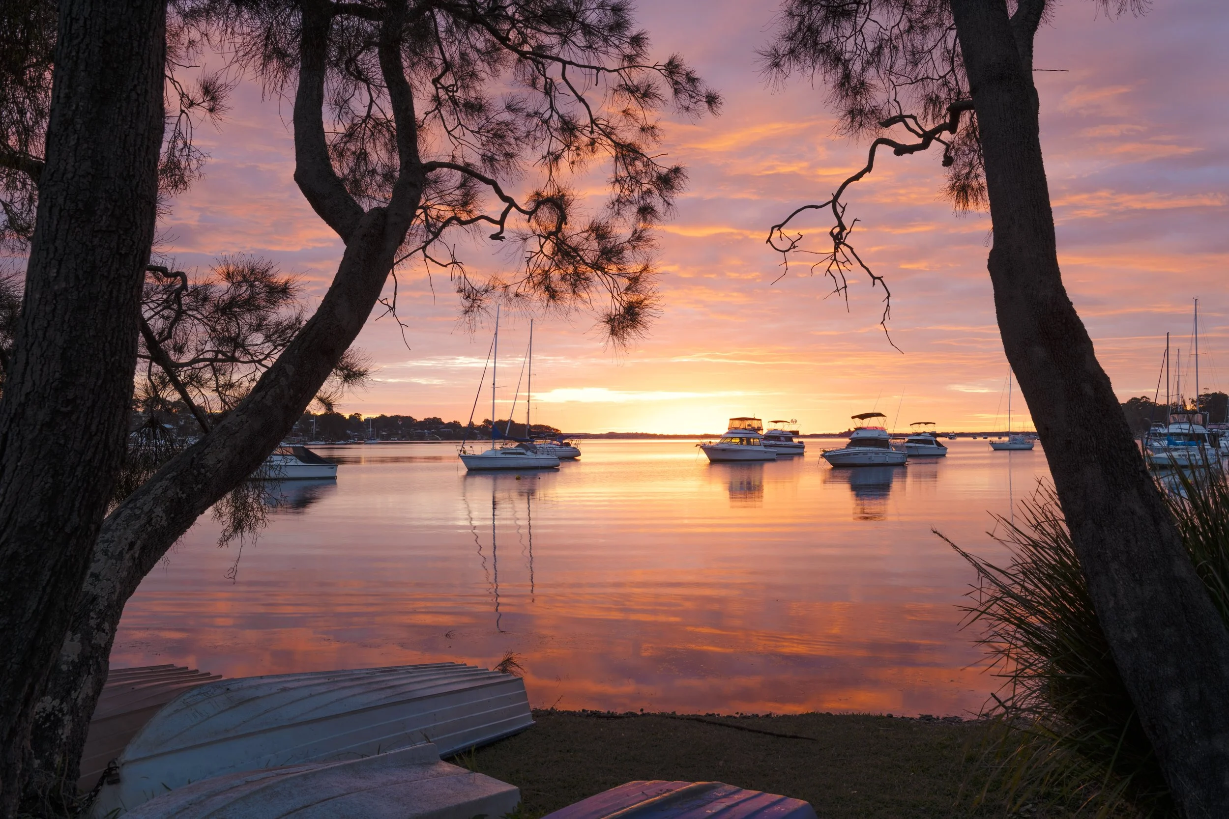 Sunset over a calm body of water with sailboats anchored, framed by in the foreground trees and boats on the shore.