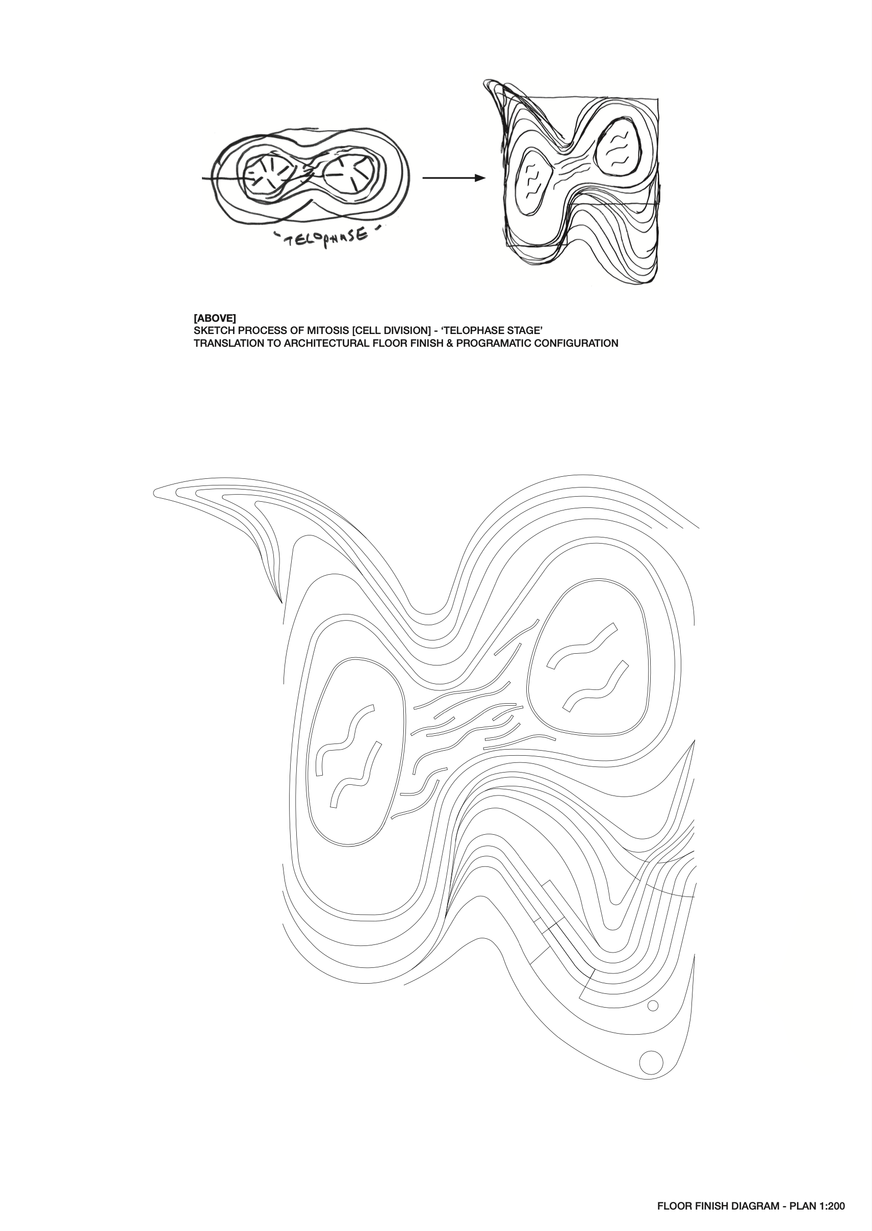 Screenshot 2025-12-09 at 4.54.33 PM.png